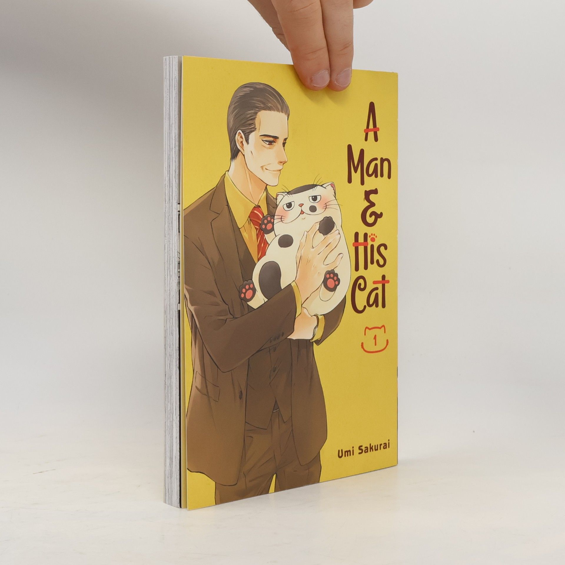 Umi Sakurai A Man and His Cat 1