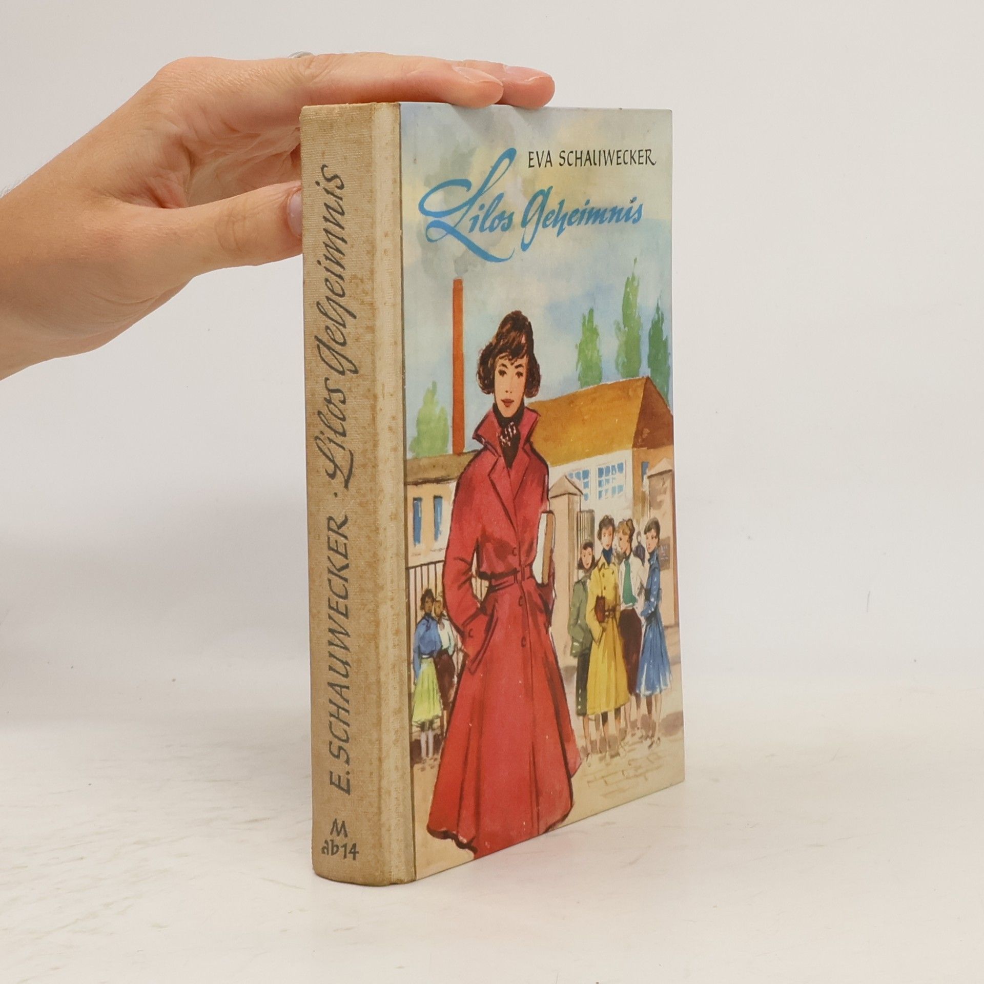 Eva Schaliwecker Lilos Geheimnis