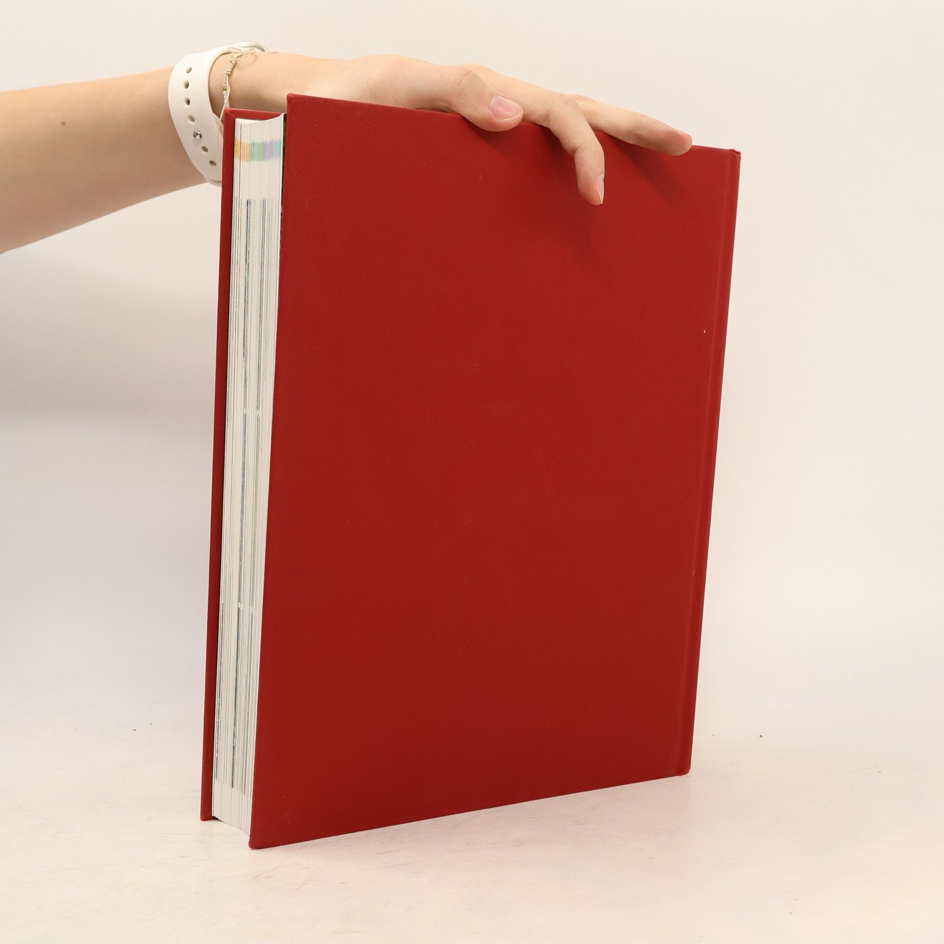 Eva Ott Handbuch Garten