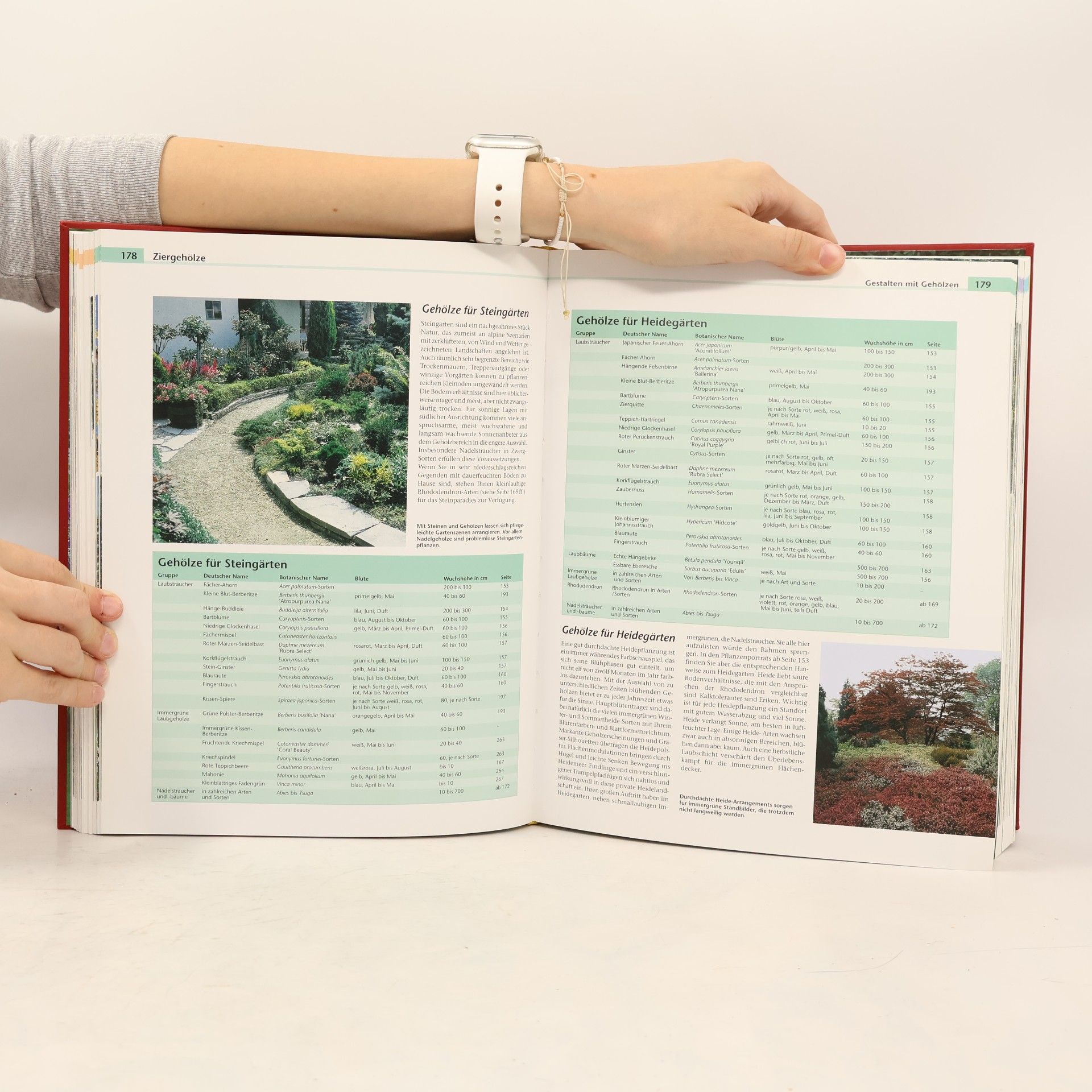 Eva Ott Handbuch Garten