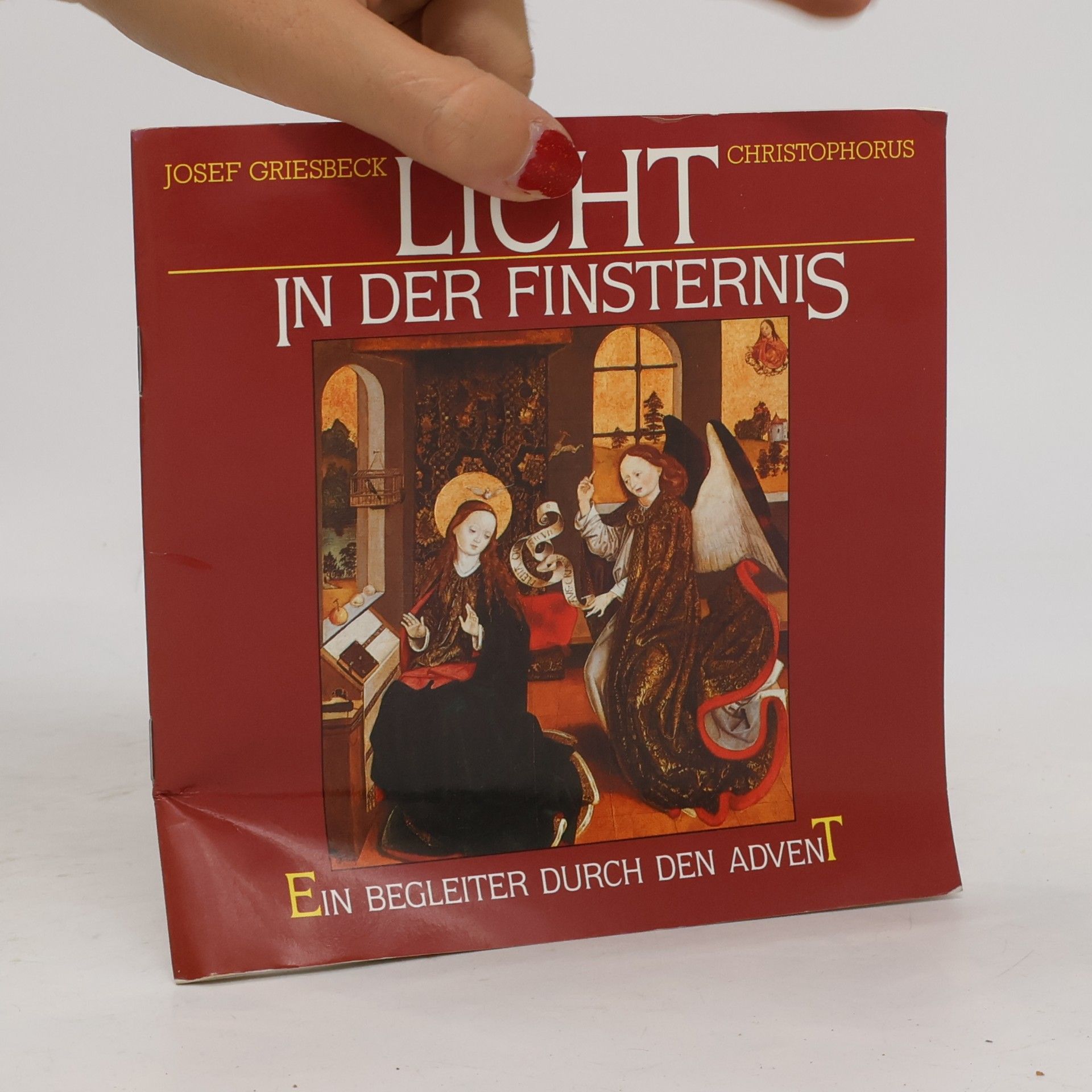 Josef Griesbeck Licht in der Finsternis. Ein Begleiter durch den Advent