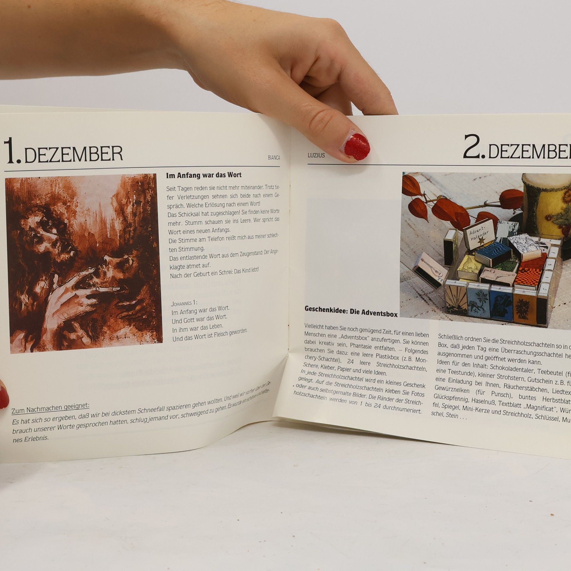 Josef Griesbeck Licht in der Finsternis. Ein Begleiter durch den Advent