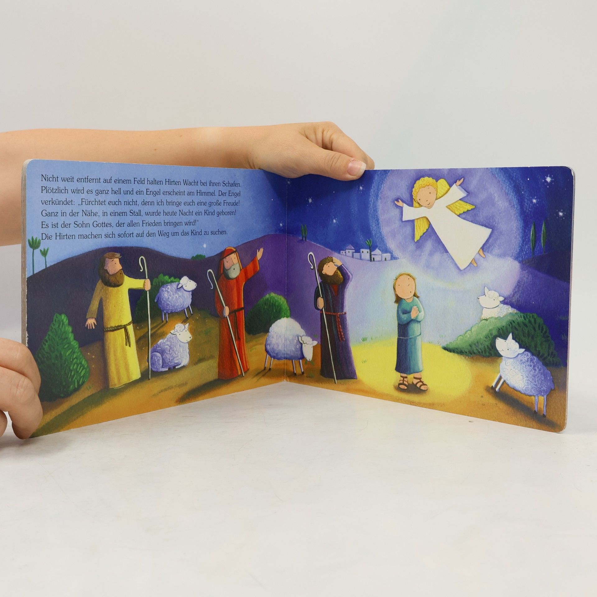 Meine Weihnachtsgeschichte (Bücher für die Kleinsten)