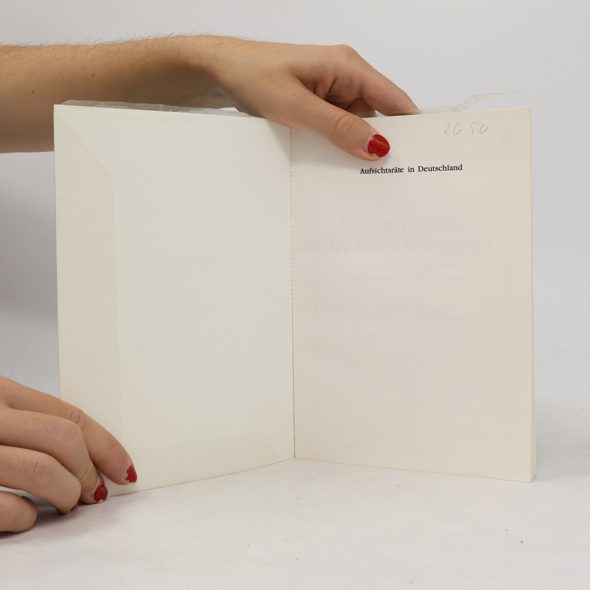 Deutsche Schutzvereinigung für Wertpapierbesitz e. V. (DSW) Aufsichtsräte in Deutschland - was können sie besser machen?