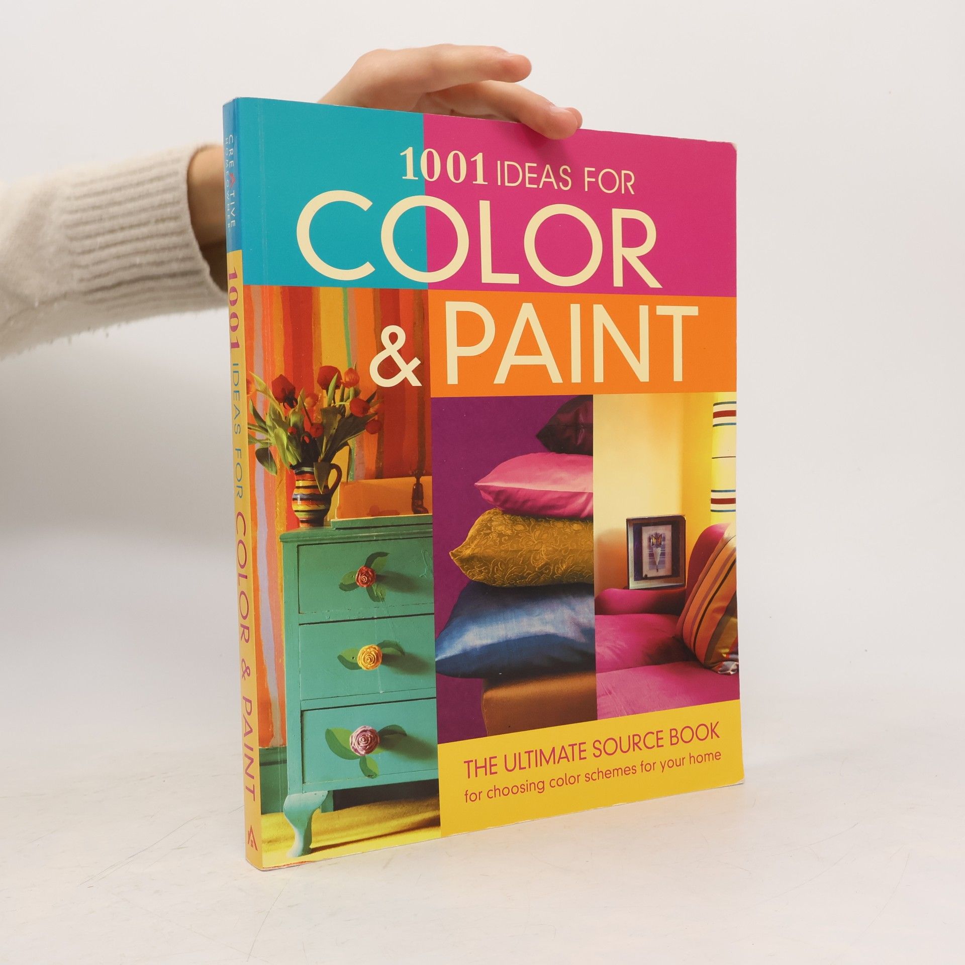 1001 Ideas For Color & Paint