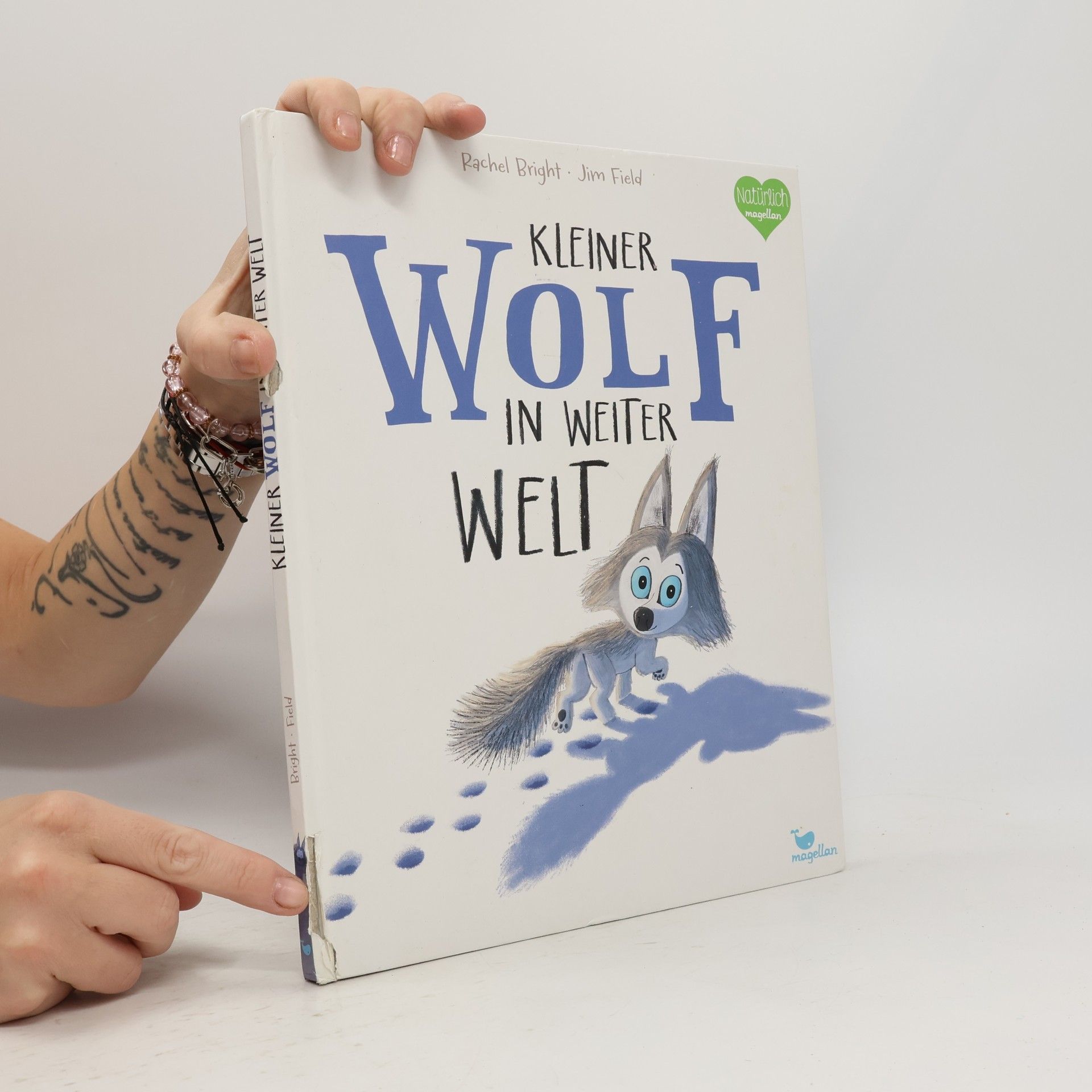 Rachel Bright Kleiner Wolf in weiter Welt