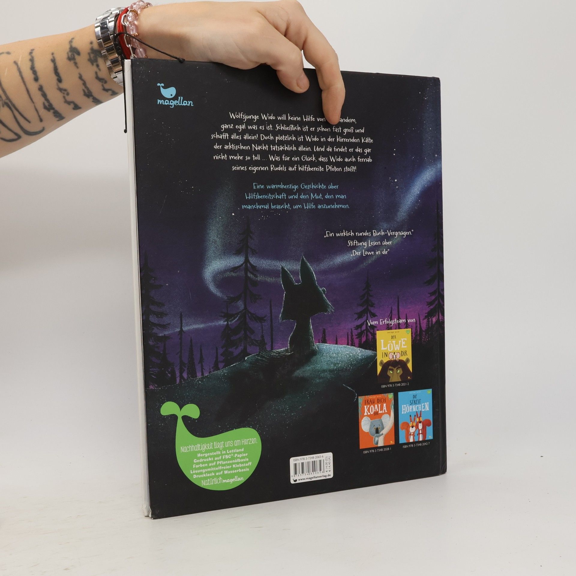 Rachel Bright Kleiner Wolf in weiter Welt