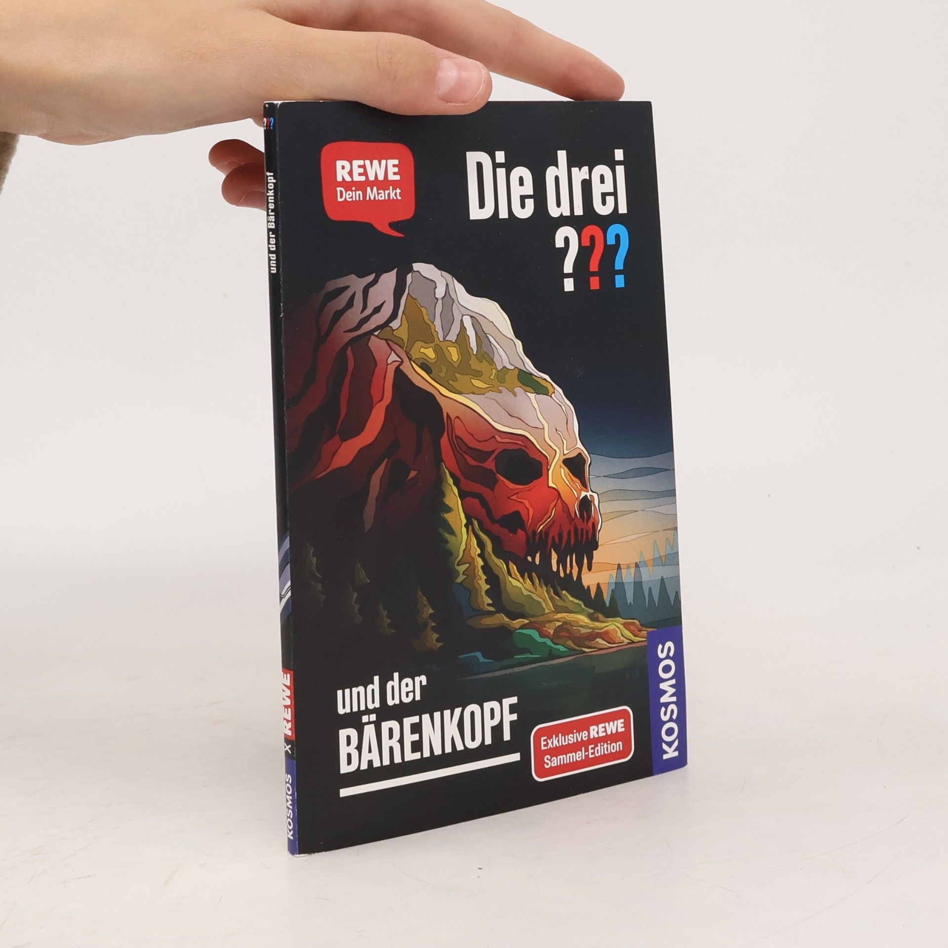 Andreas Ruch Die drei ??? und der Bärenkopf