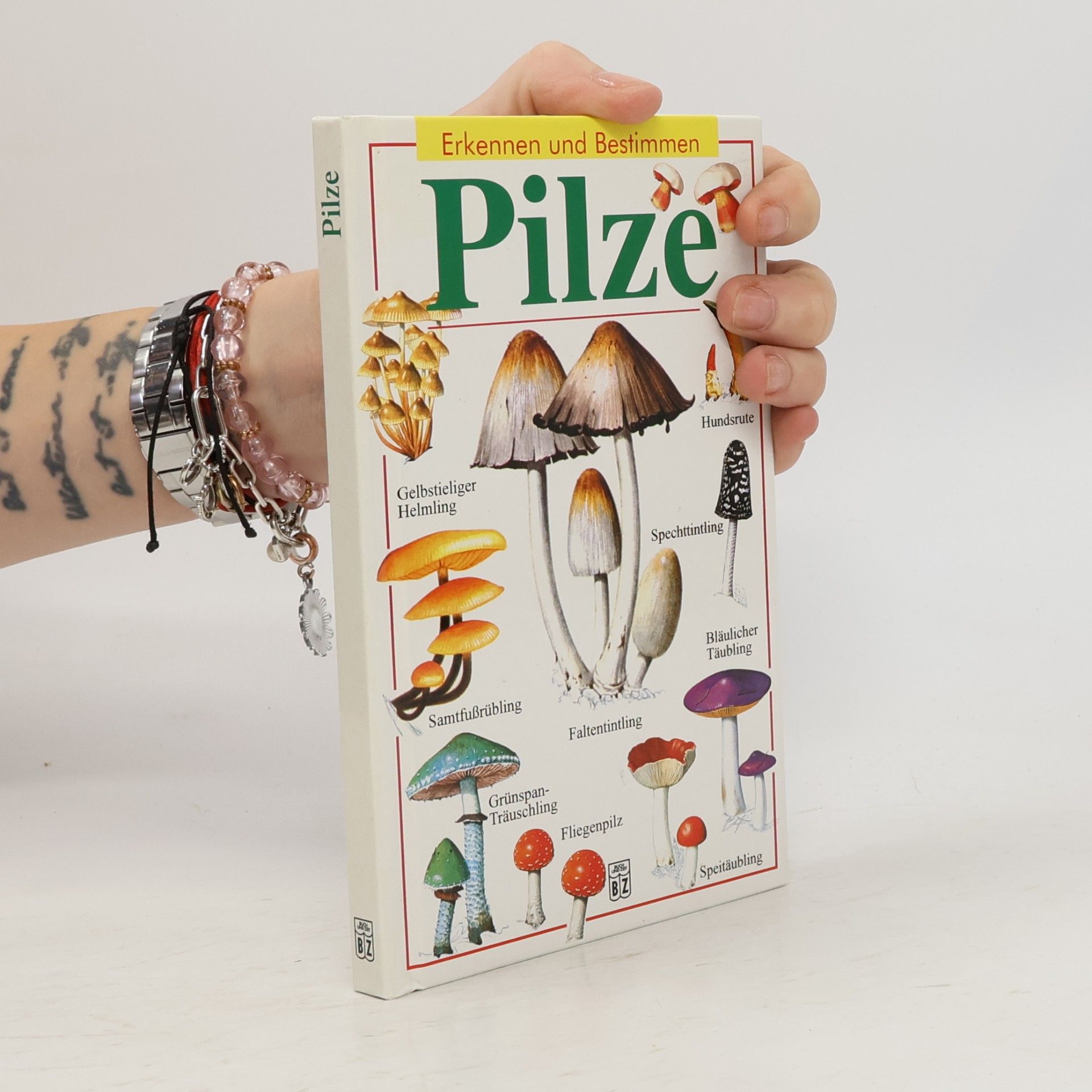 Autores varios Pilze