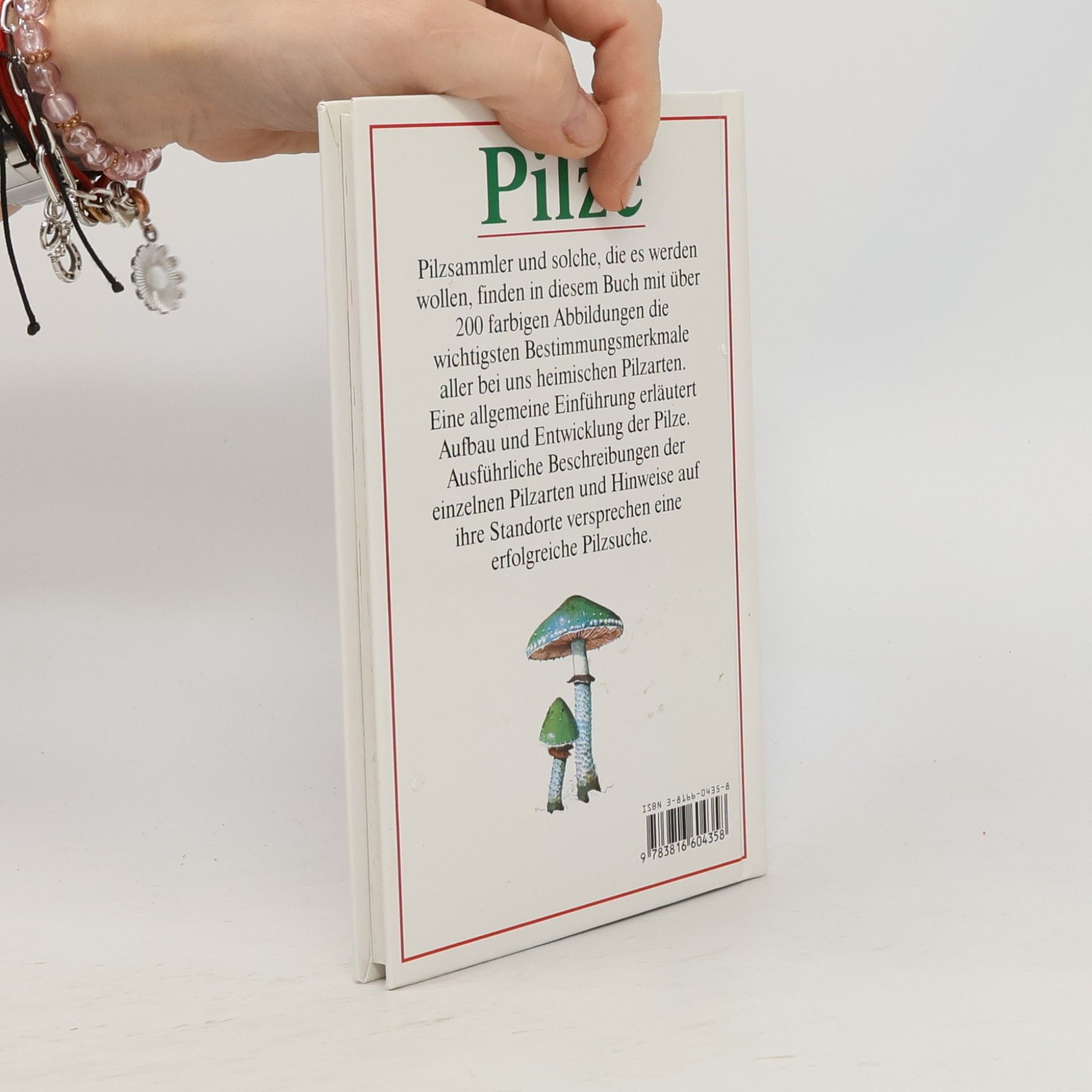 Autores varios Pilze