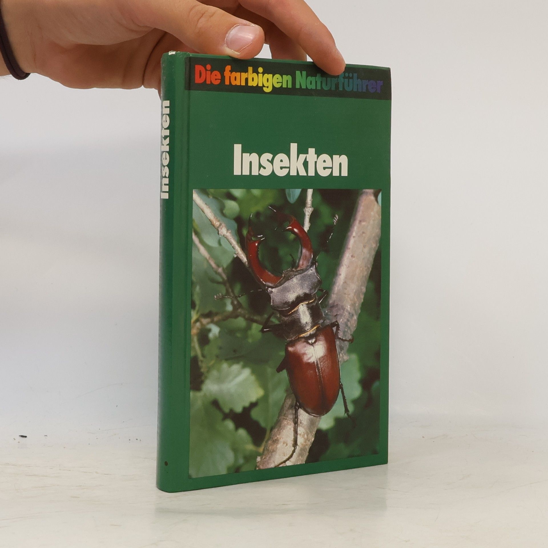 Kolektiv autorů Insekten