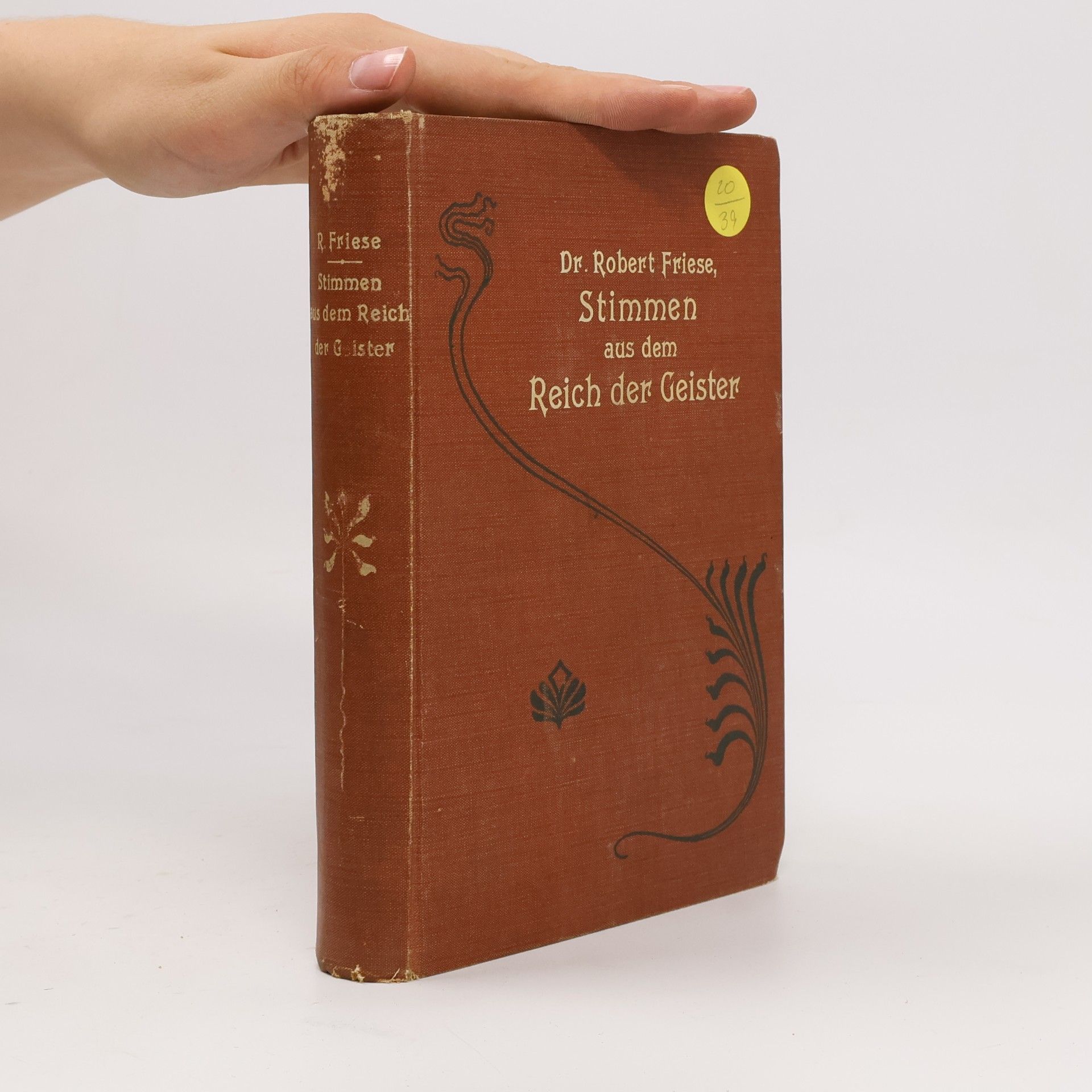 Robert Friese Stimmen aus dem Reich der Geister