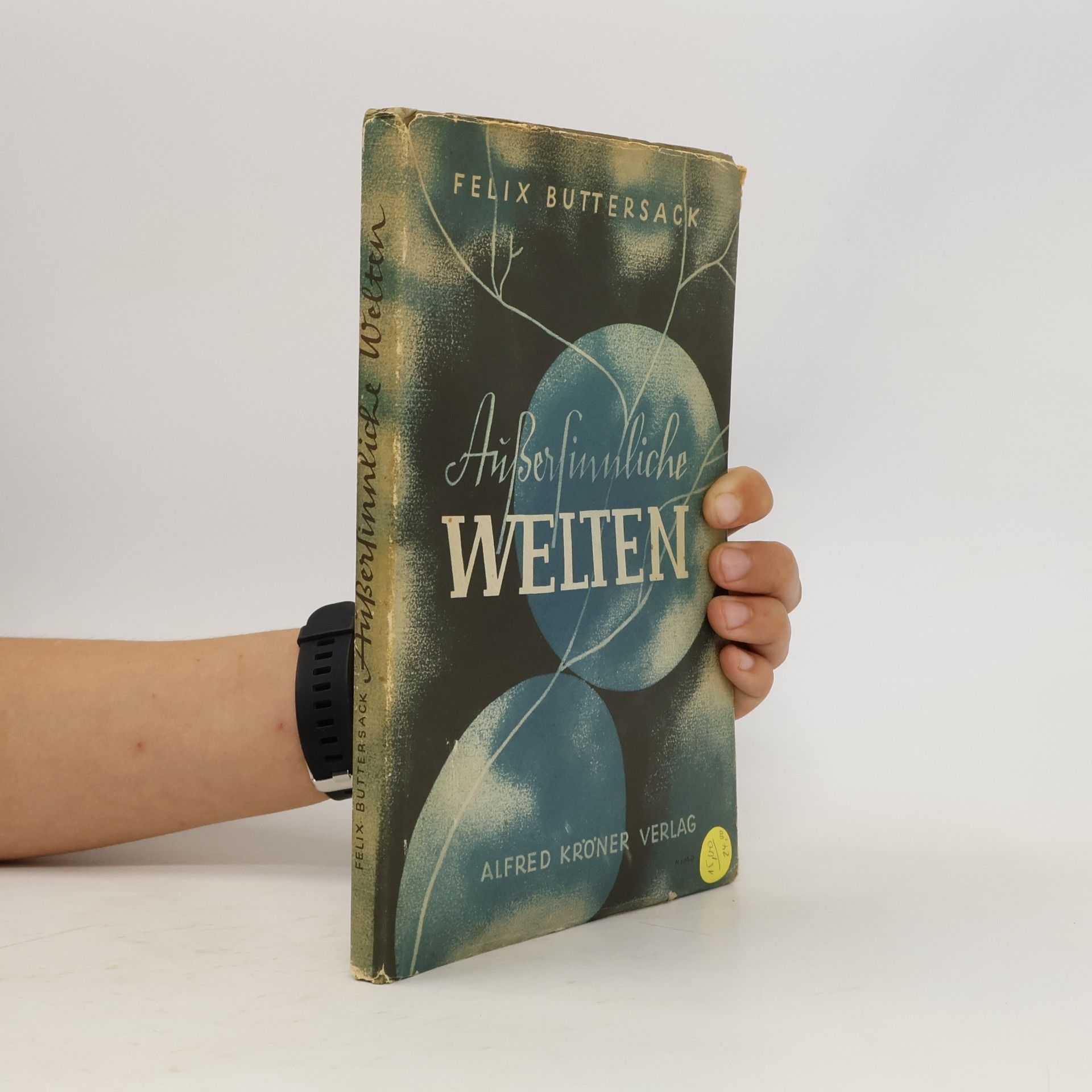 Außersinnliche Welten