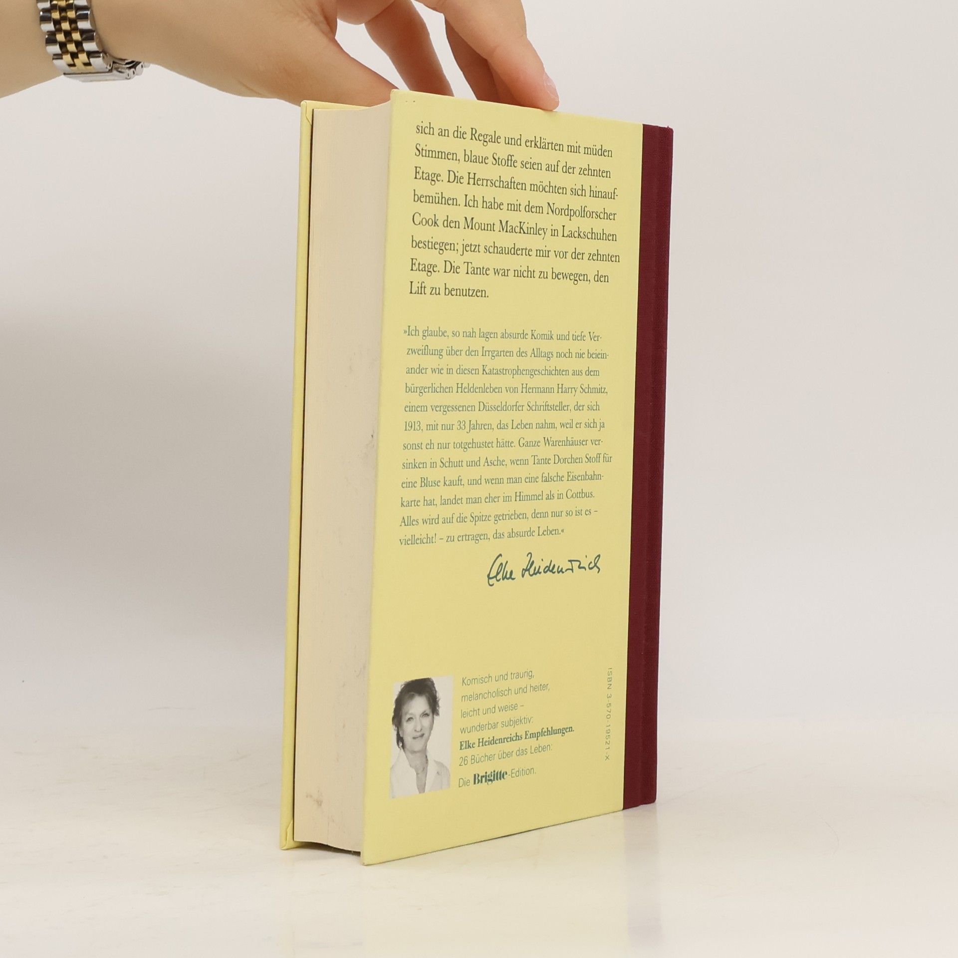 Hermann Harry Schmitz Das Buch der Katastrophen