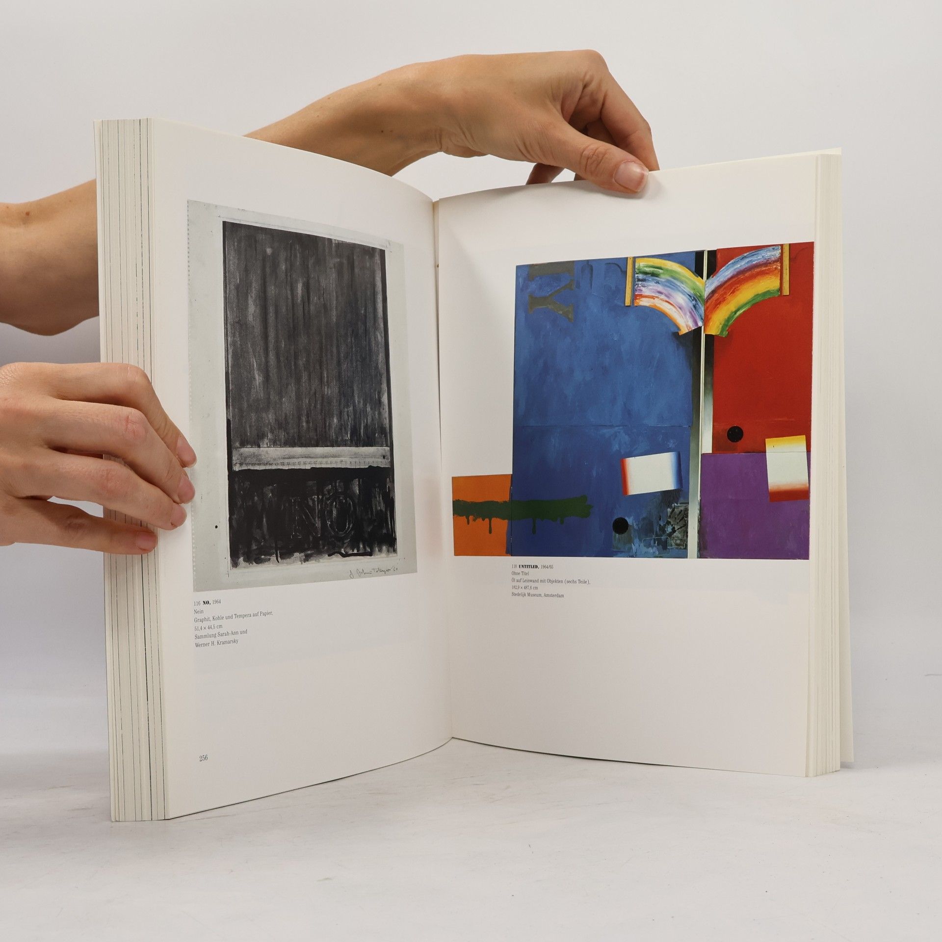 Kirk Varnedoe Jasper-Johns-Retrospektive