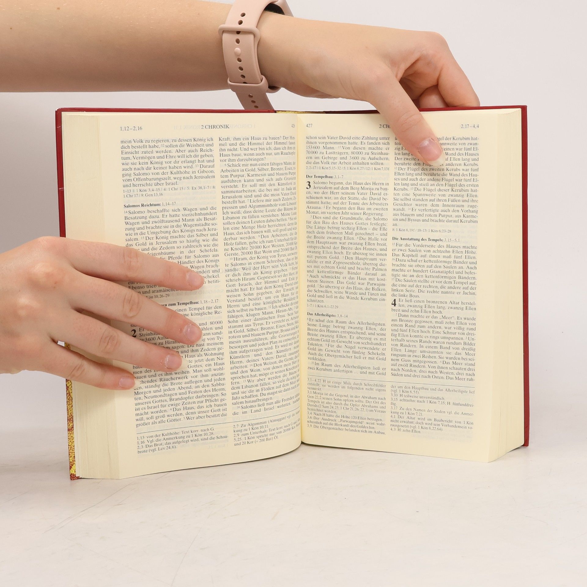 Various authors Die Bibel