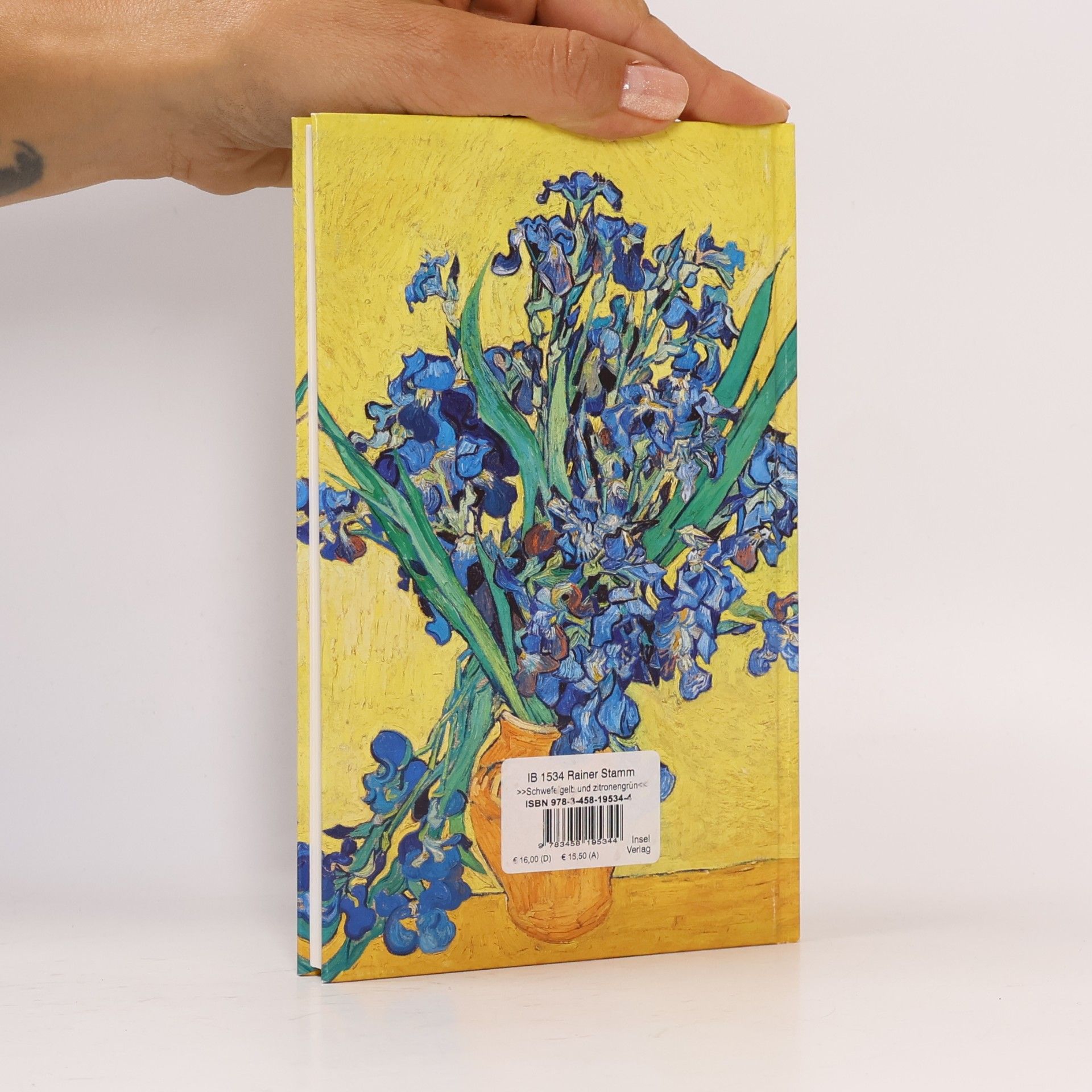 Gloria Köpnick »Schwefelgelb und zitronengrün«. Vincent van Gogh. Briefe und Bilder
