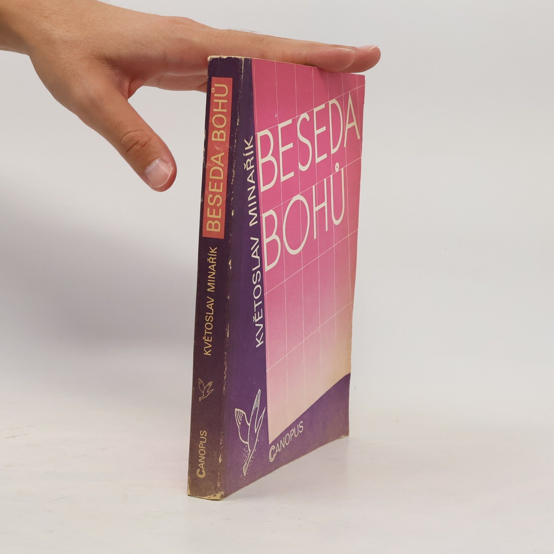 Beseda bohů