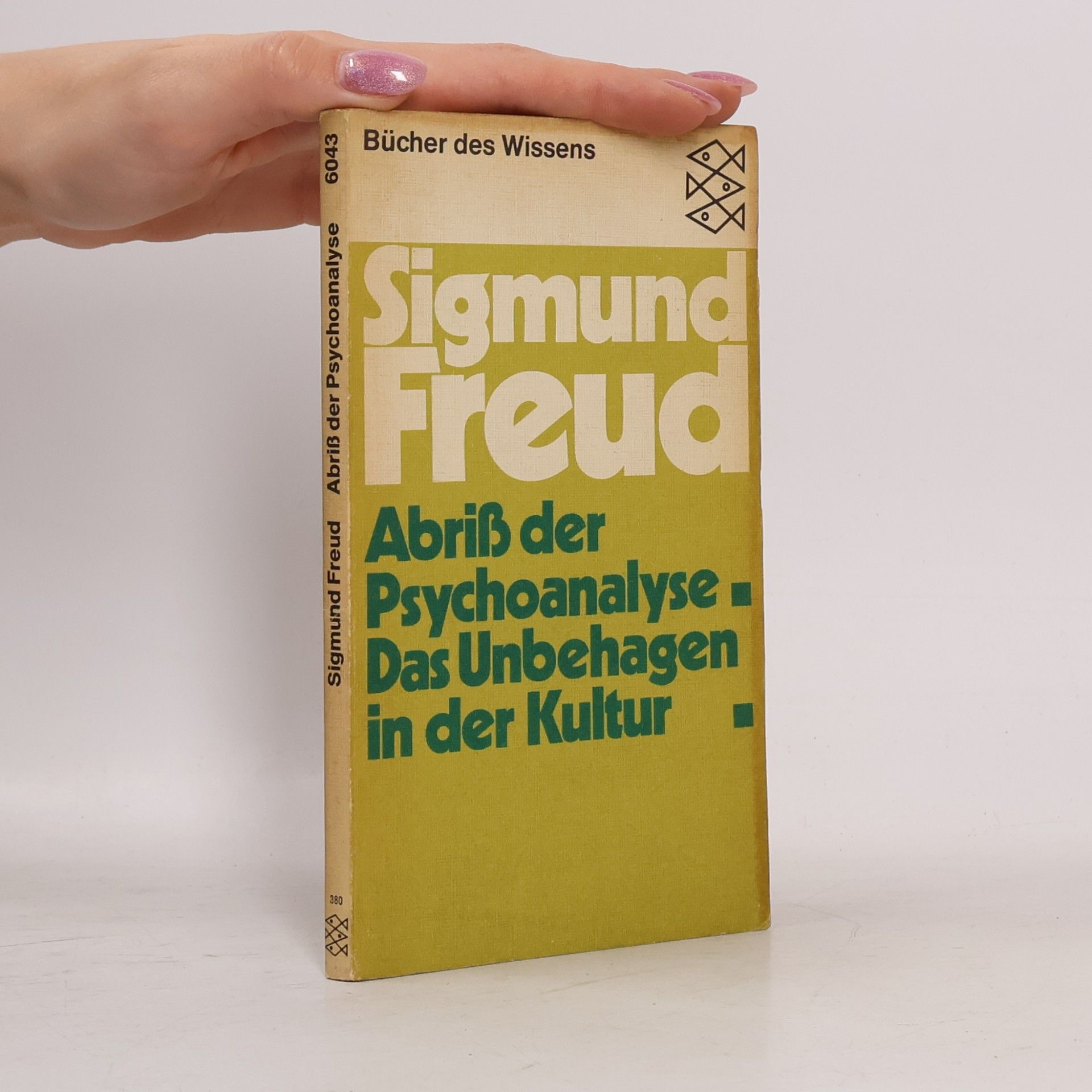 Sigmund Freud Abriss der Psychoanalyse