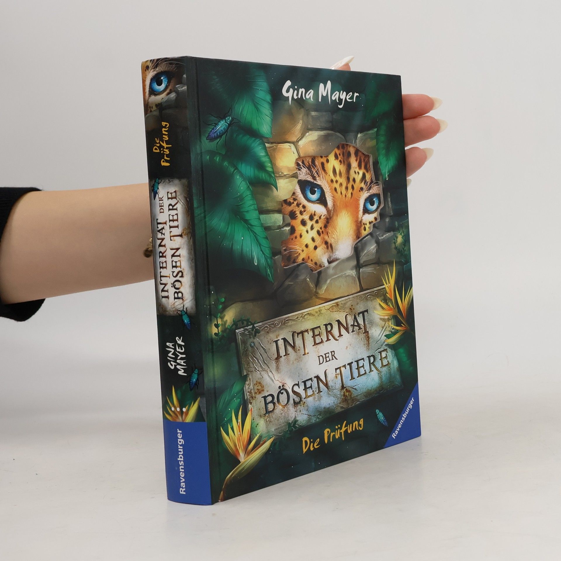 Gina Mayer Das Internat der bösen Tiere