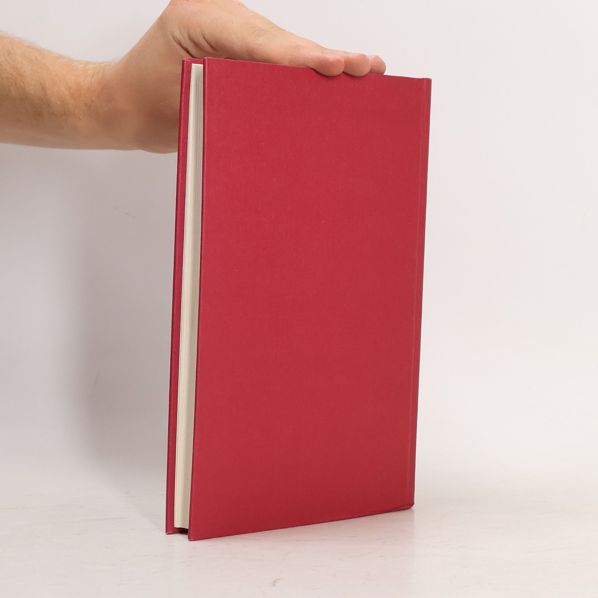 Michael Buselmeier Literarische Führungen durch Heidelberg