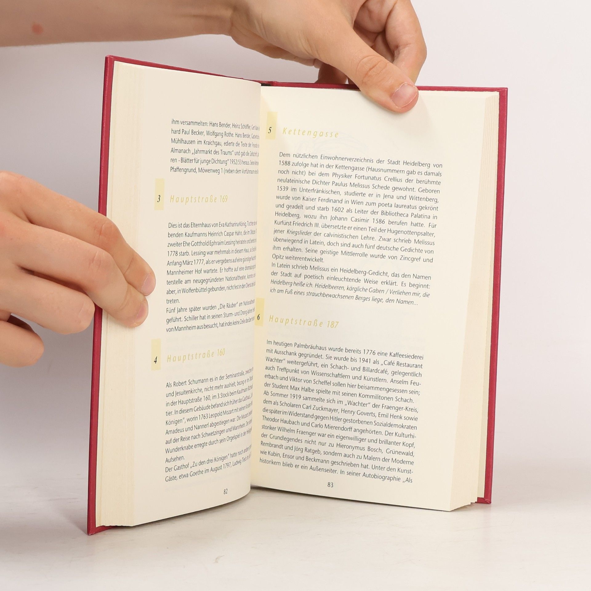 Michael Buselmeier Literarische Führungen durch Heidelberg