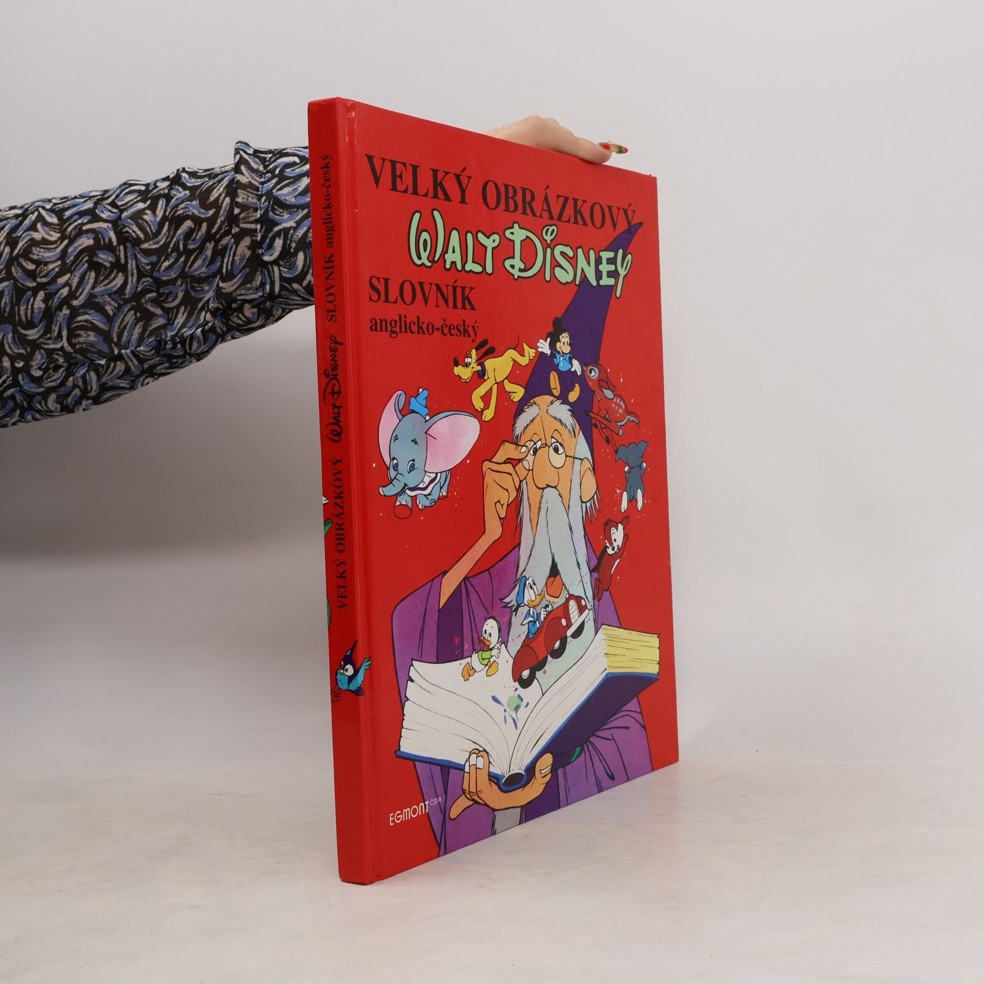Walt Disney Velký obrázkový slovník anglicko-český