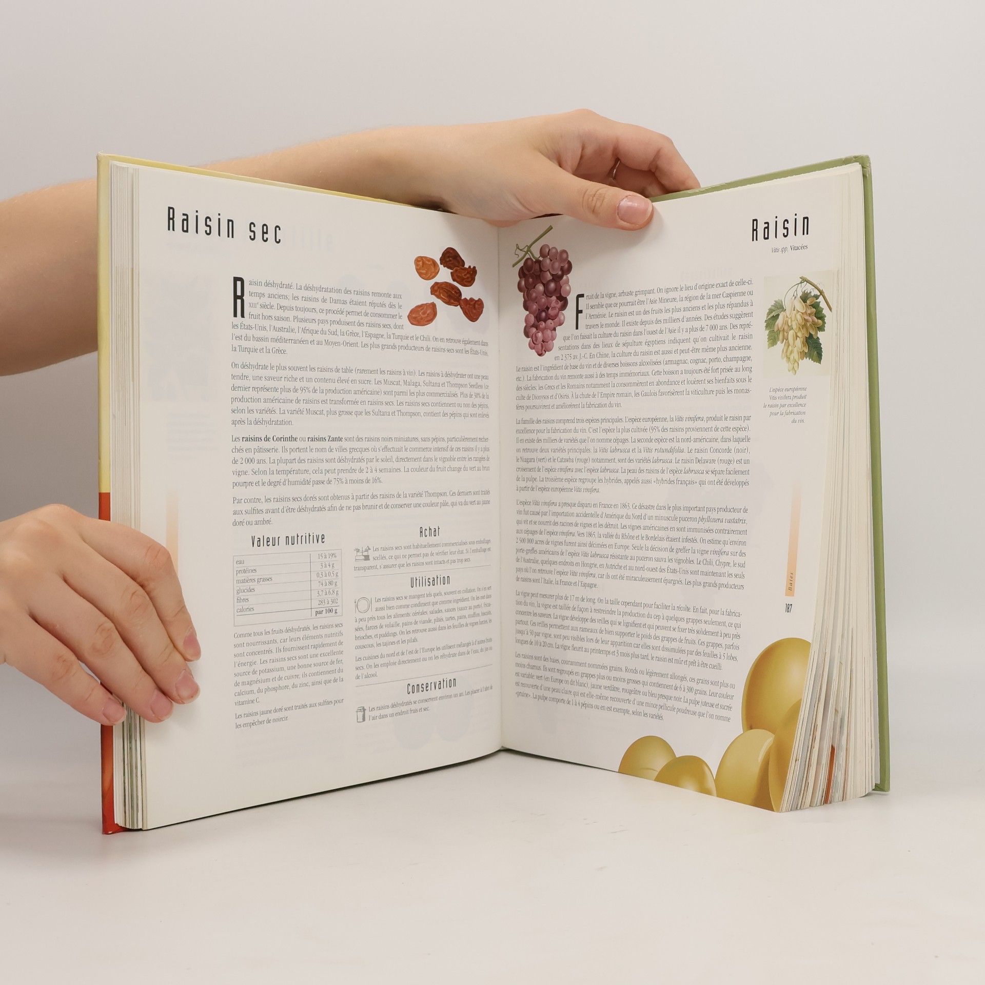 Jacques Fortin L'encyclopédie visuelle des aliments