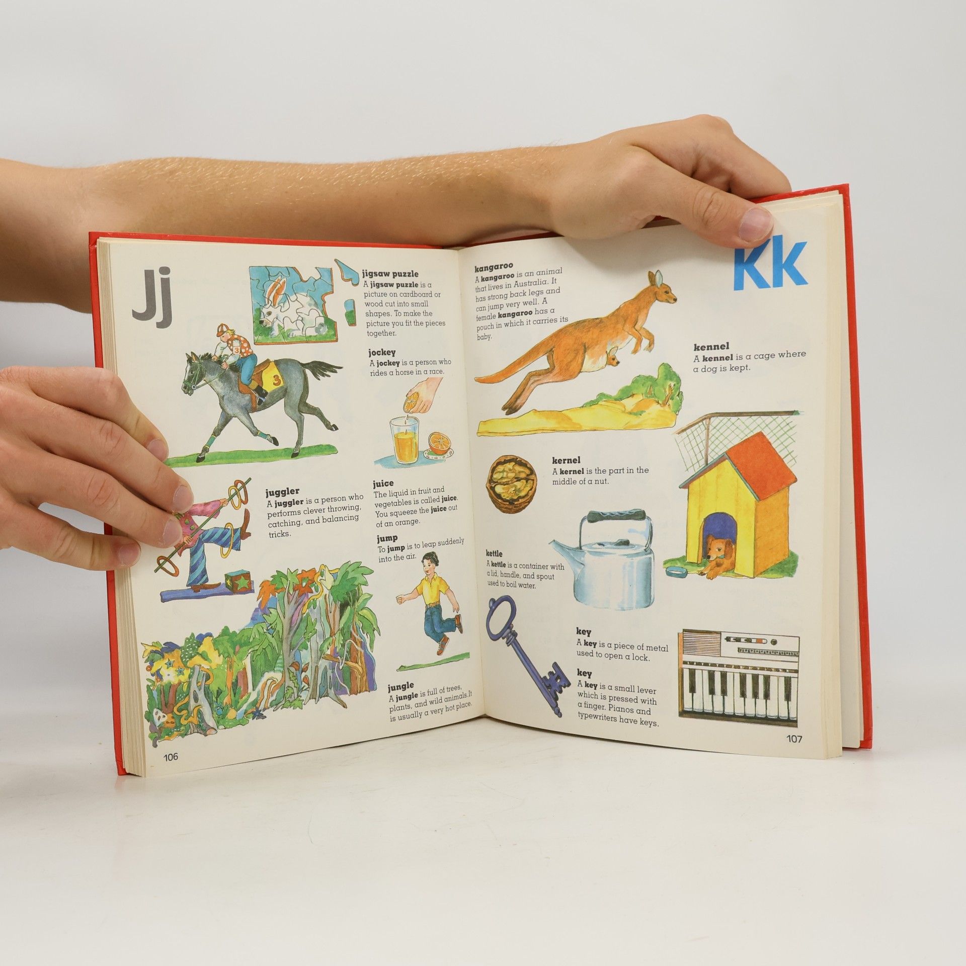 Autorenkollektiv Children's Picture Dictionary