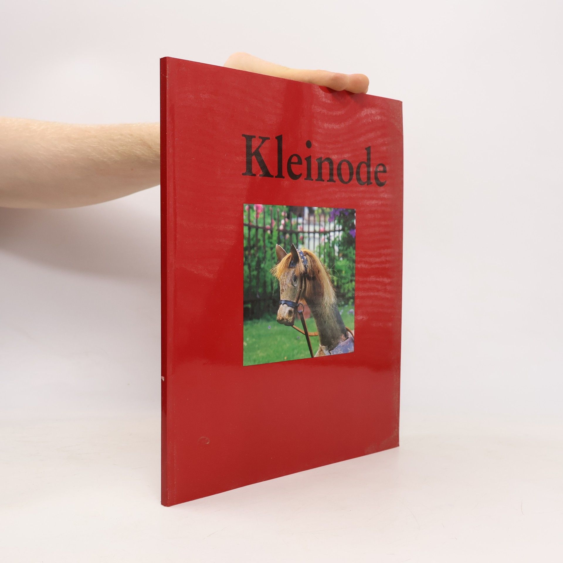 Autorenkollektiv Kleinode