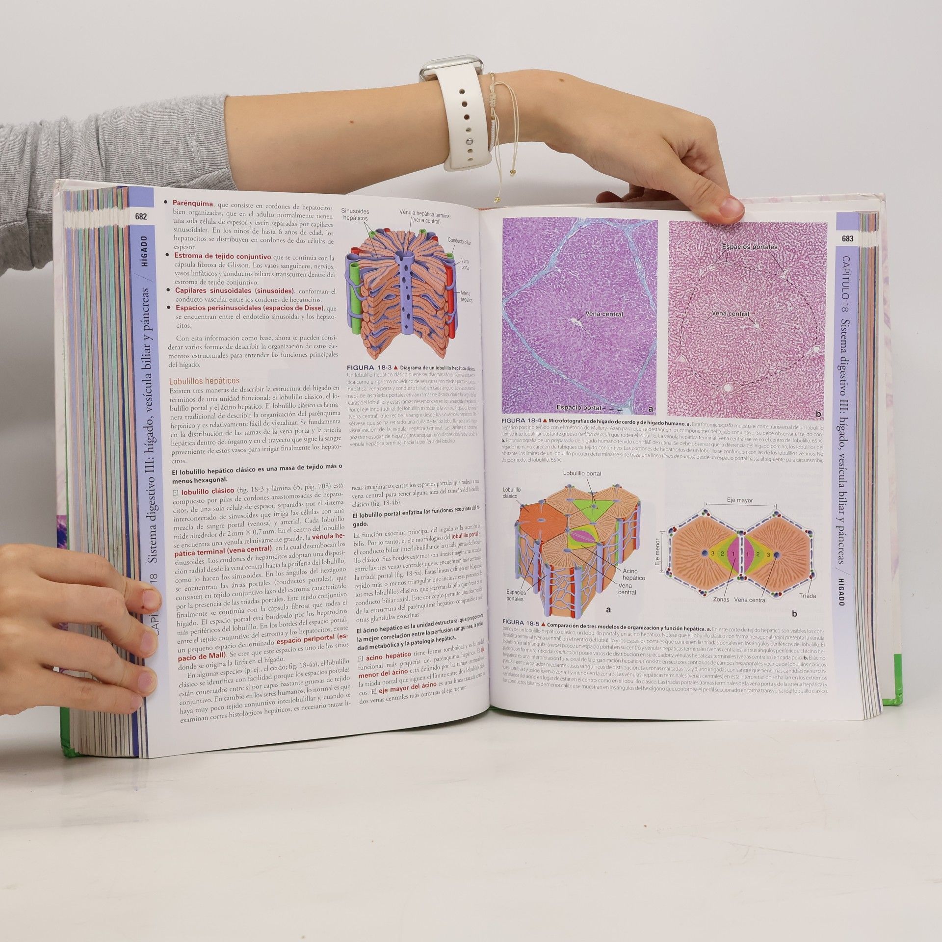 Wojciech Pawlina Ross. Histología.