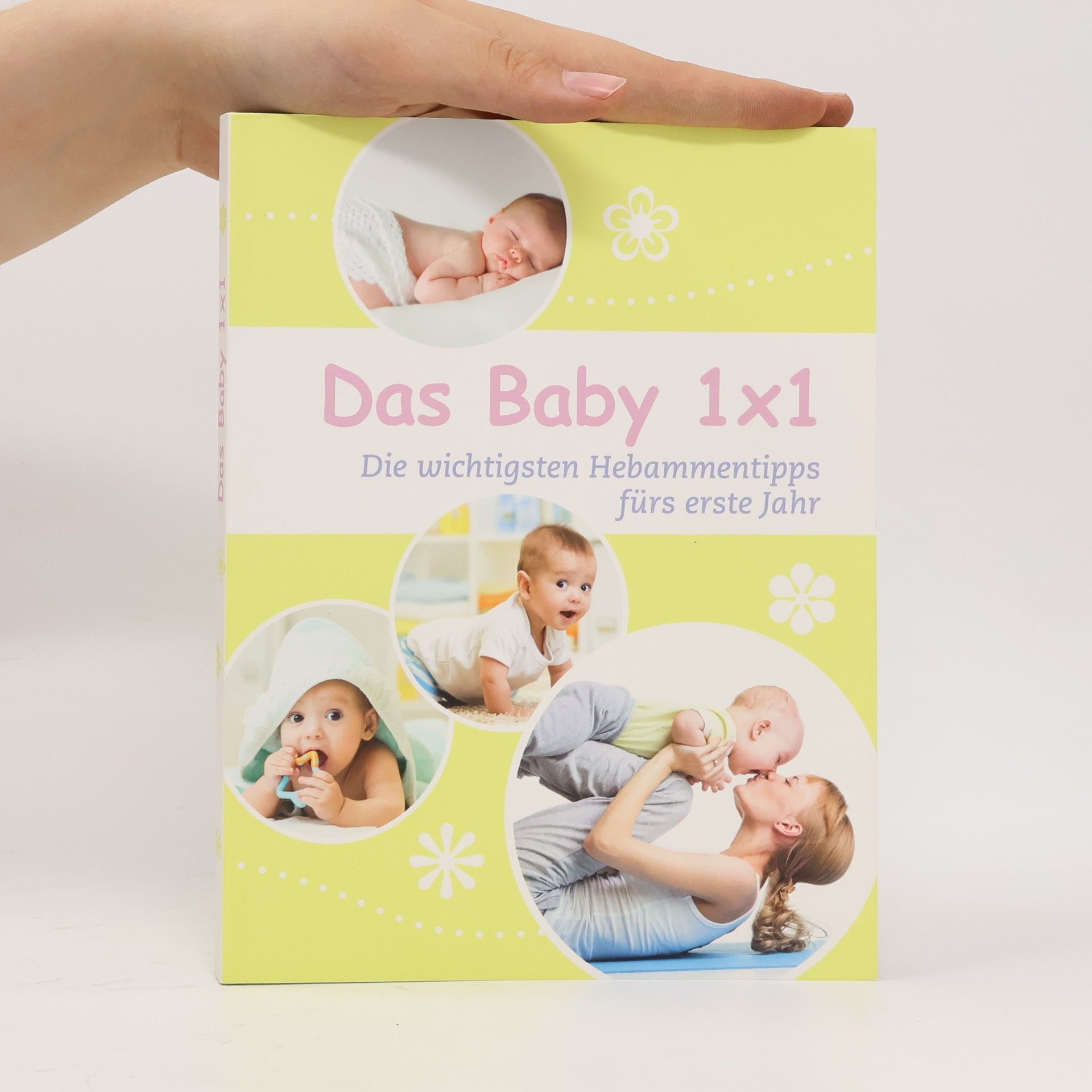 Birgit Laue Das Baby 1x1