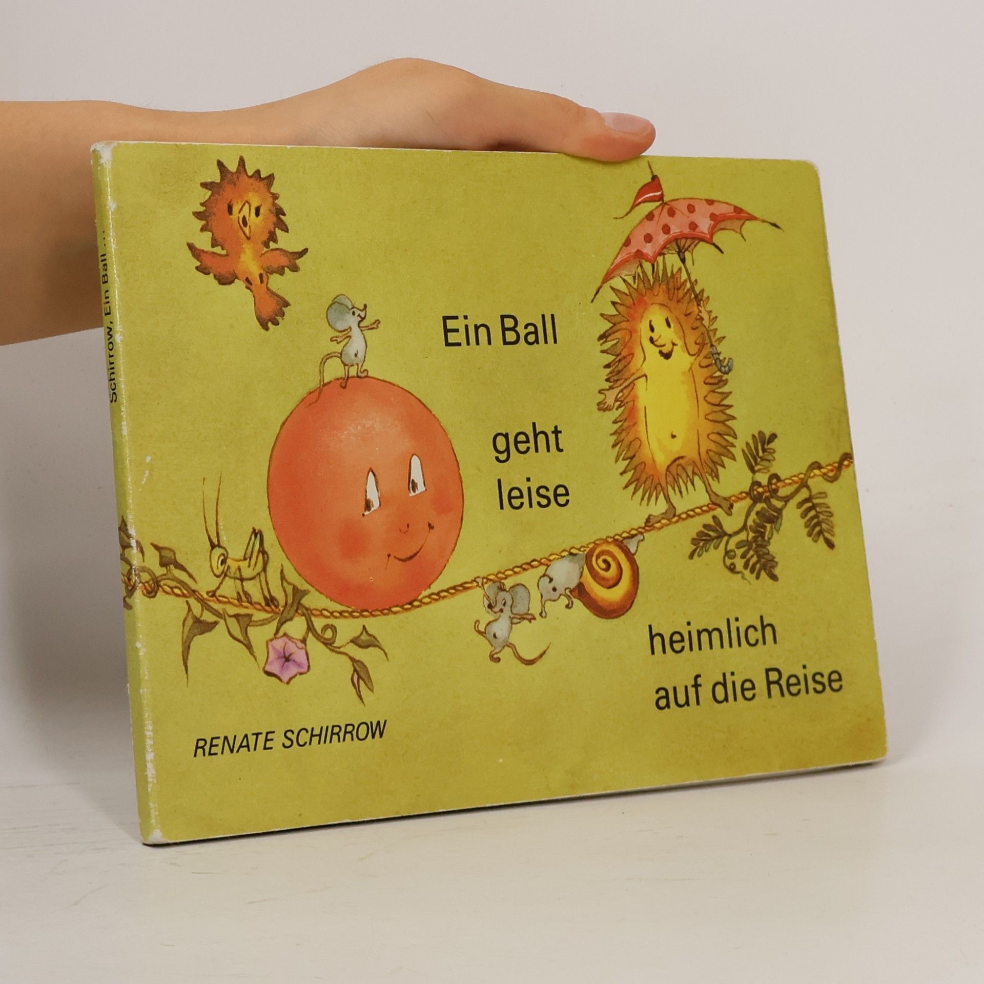 Renate Schirrow Ein Ball geht leise heimlich auf die Reise