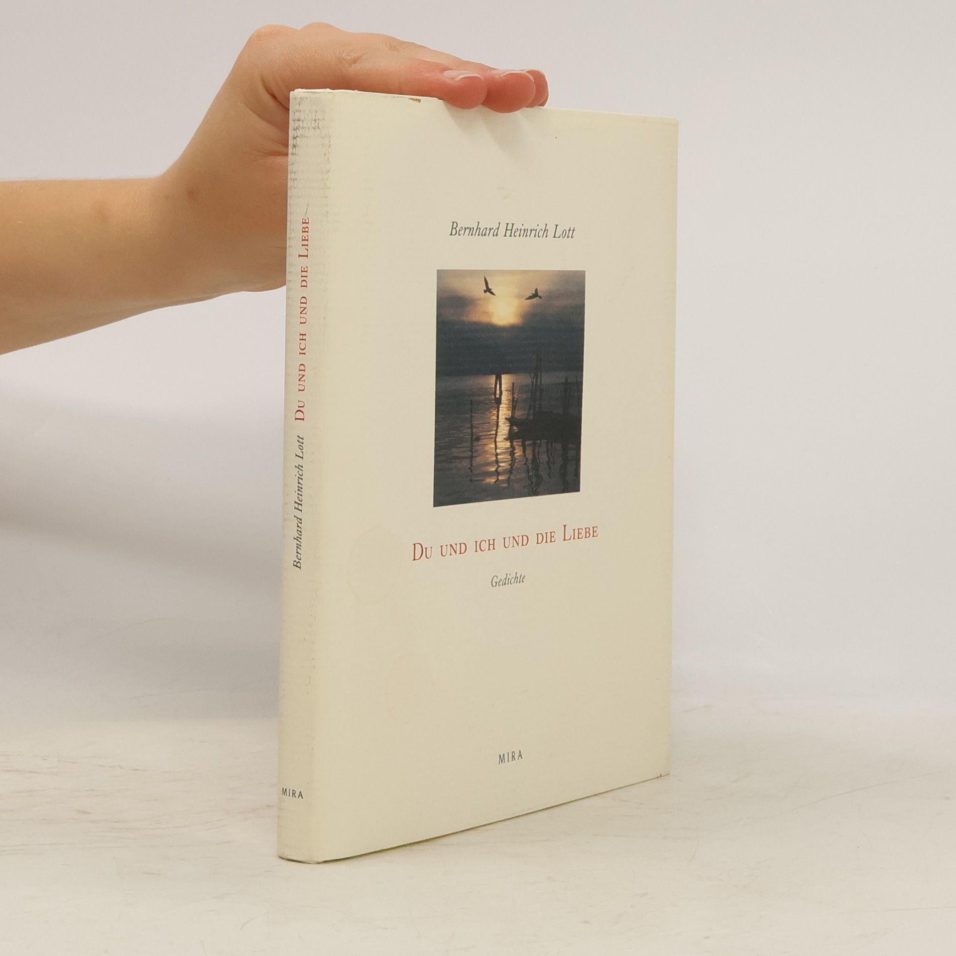 Bernhard Heinrich Lott Du und ich und die Liebe: Gedichte