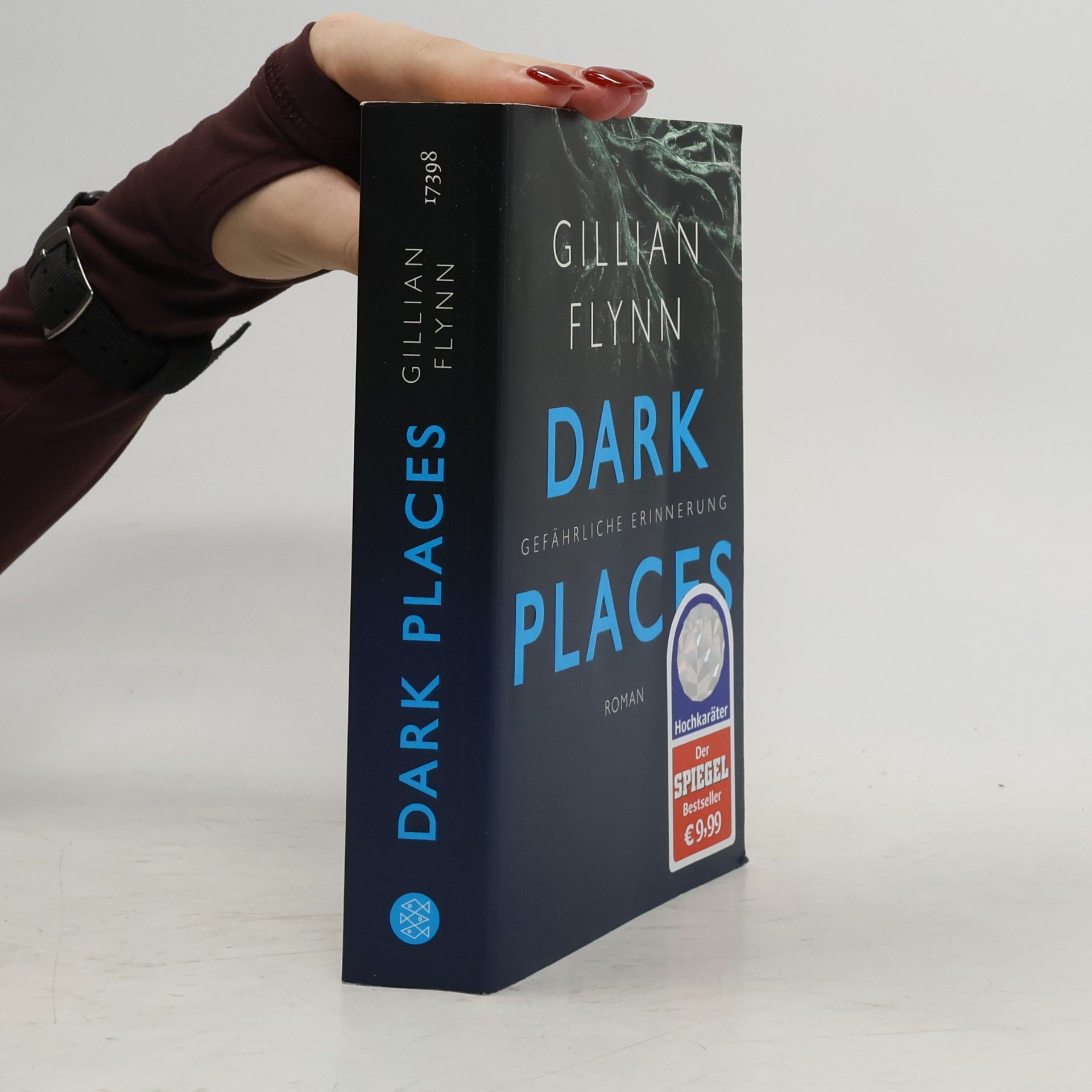 Gillian Flynn Dark Places - Gefährliche Erinnerung