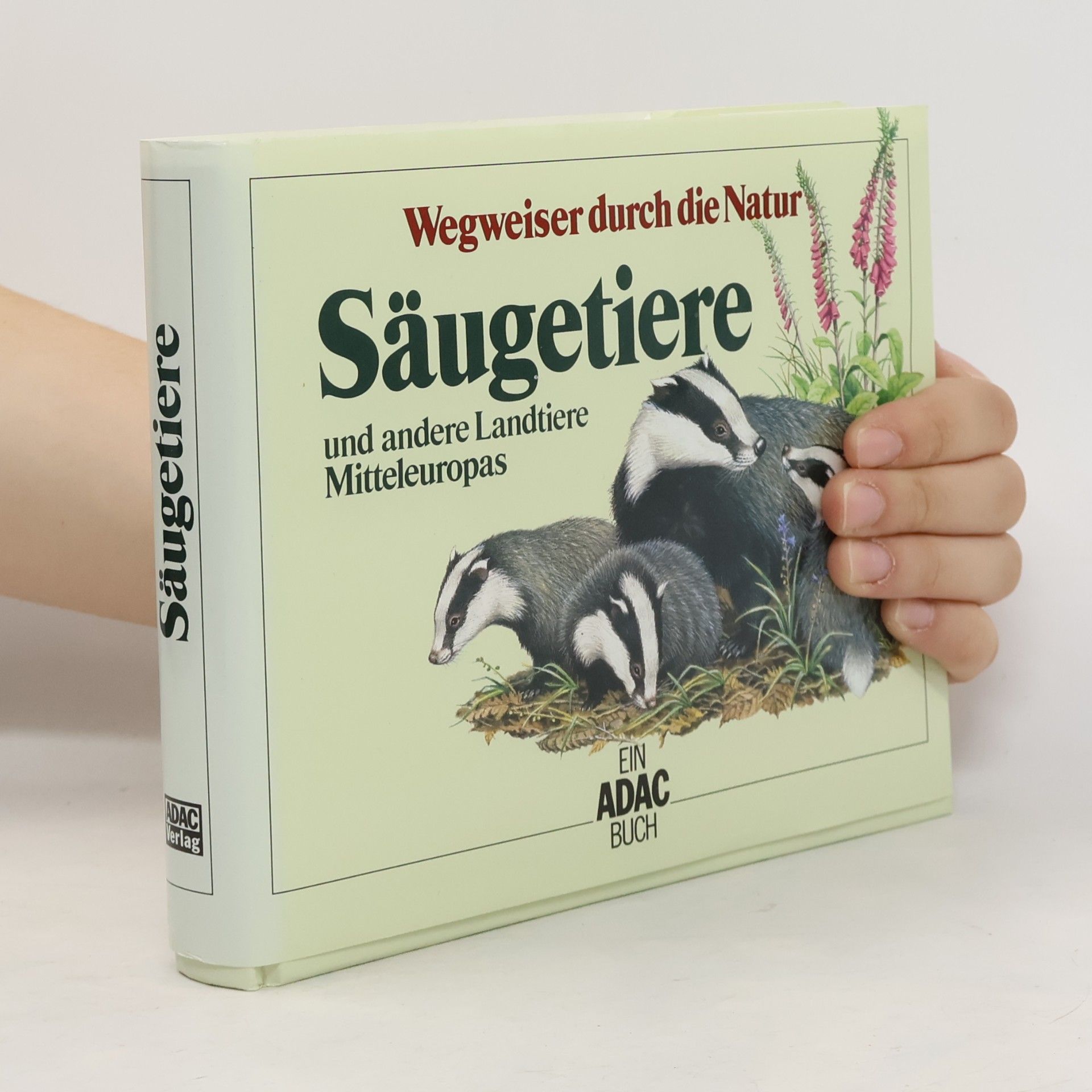 Friedrich Dieterlen Säugetiere und andere Landtiere Mitteleuropas