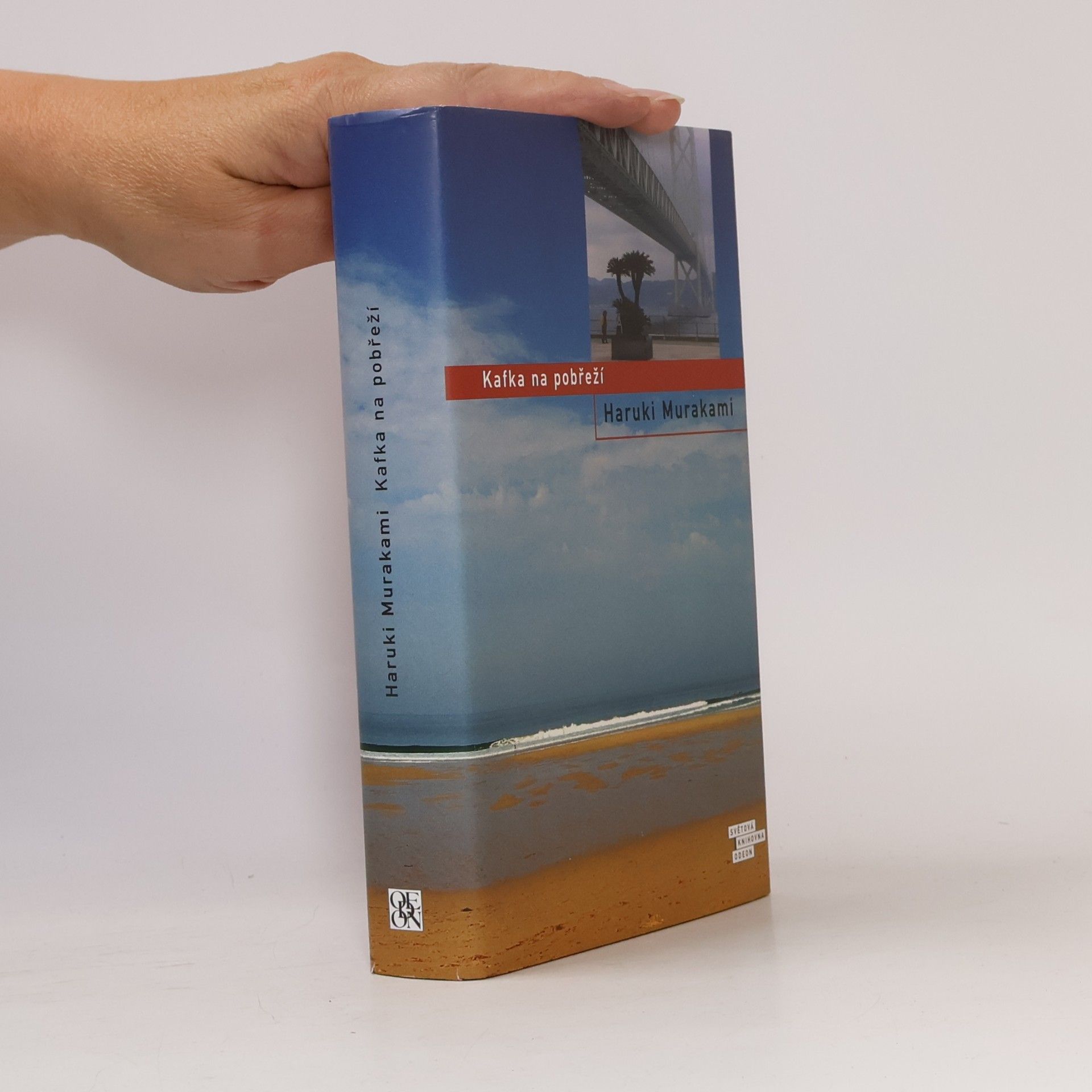 Haruki Murakami Kafka na pobřeží