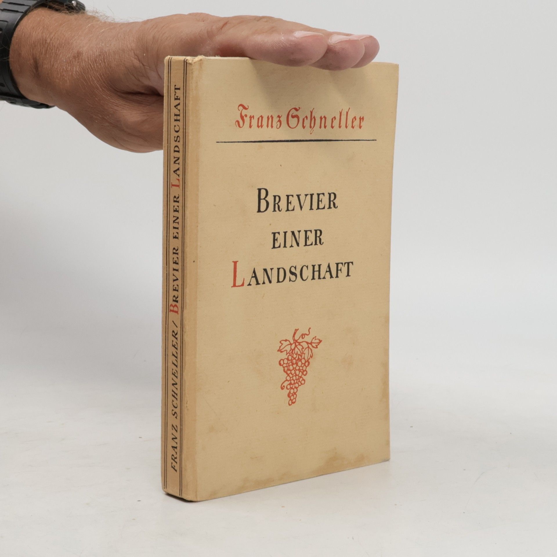 Franz Gebneller Brevier einer Landschaft