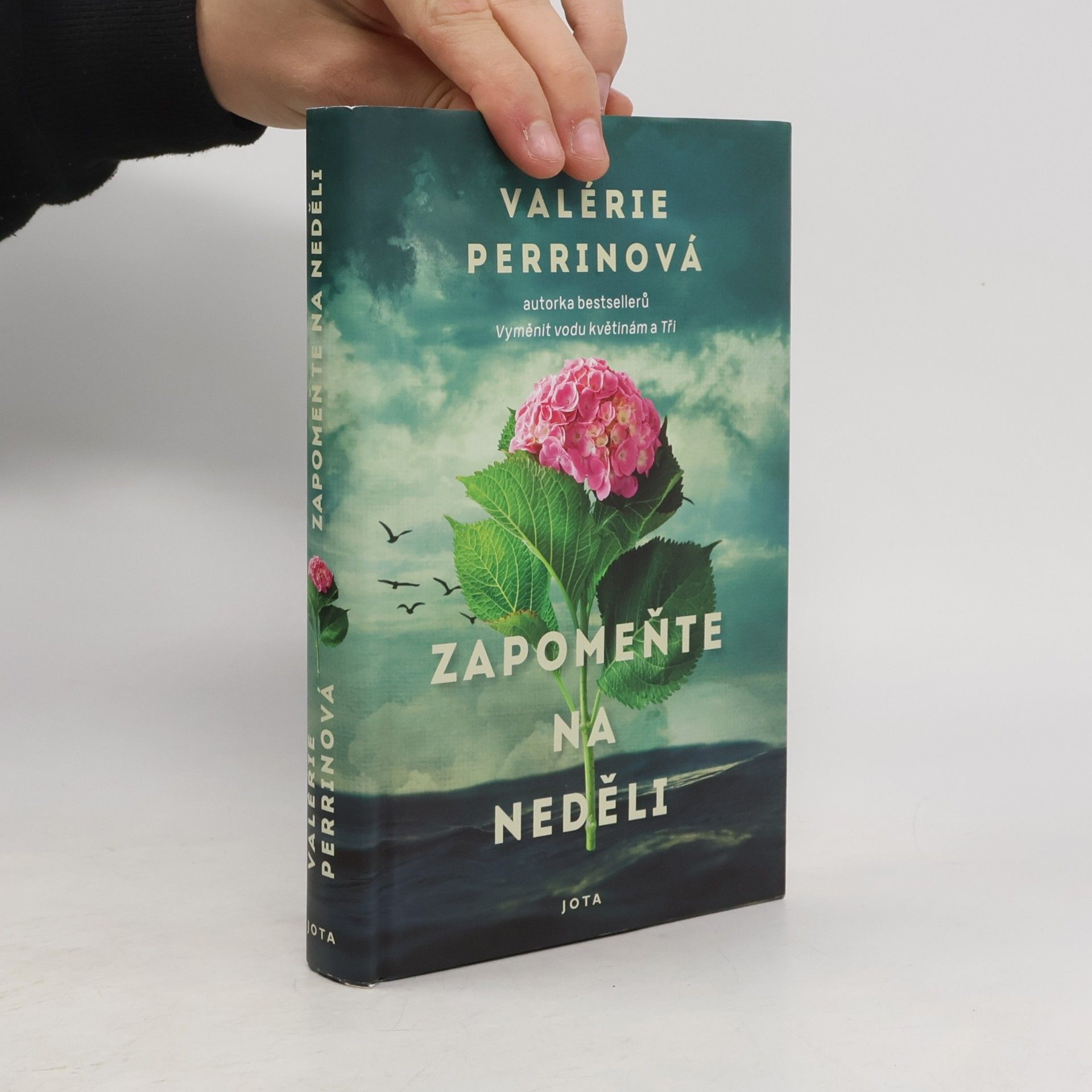 Valérie Perrin Zapomeňte na neděli