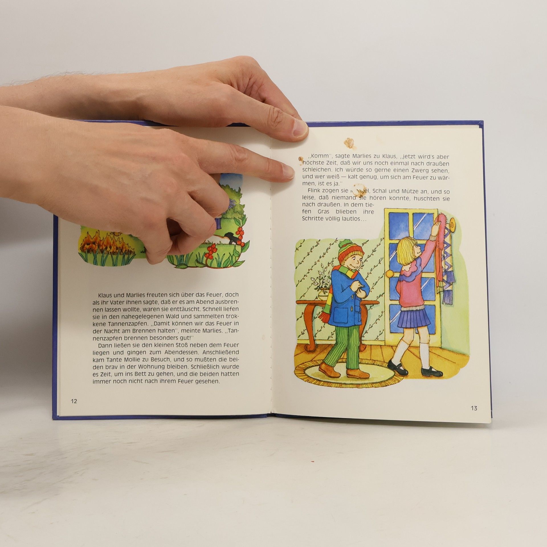 Enid Blyton Wollt ihr mal die Zwerge sehen?