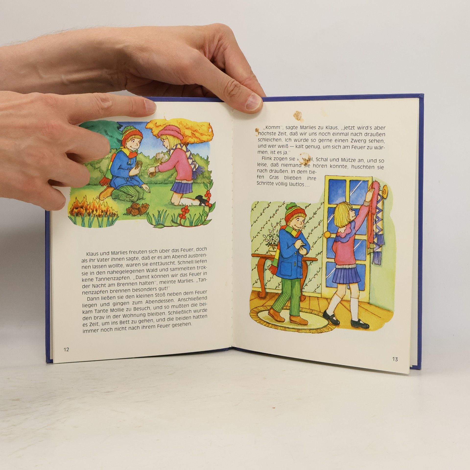Enid Blyton Wollt ihr mal die Zwerge sehen?