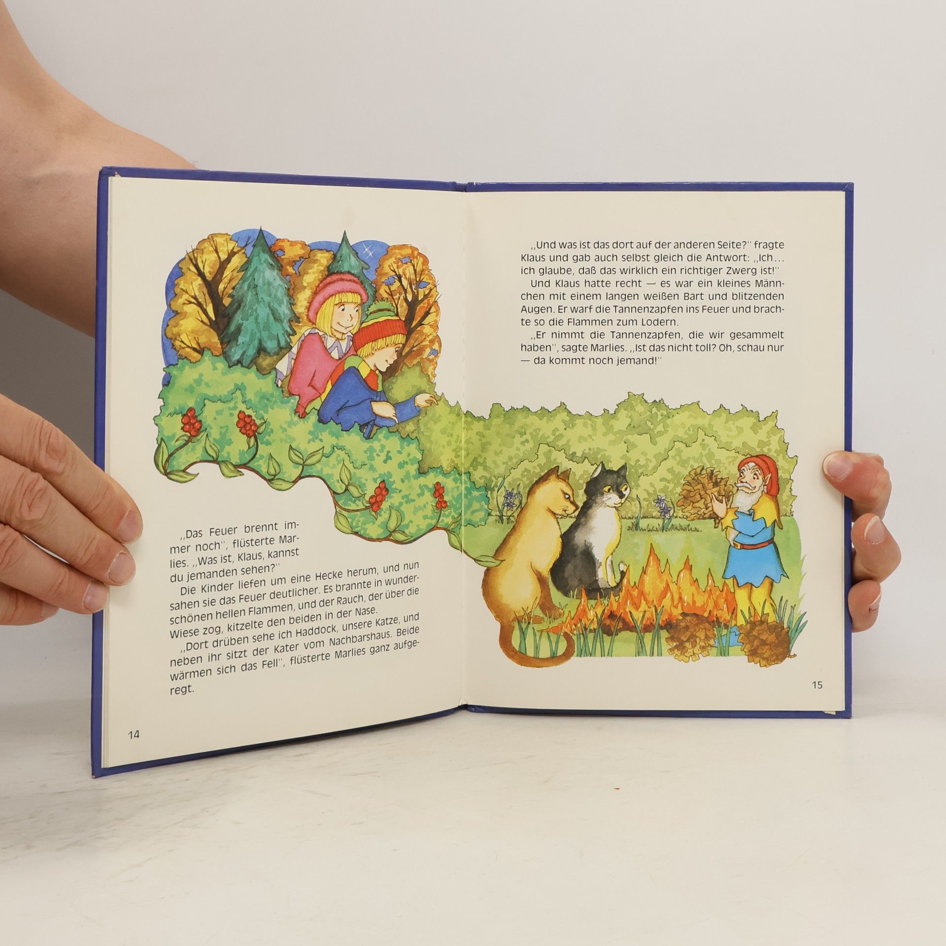 Enid Blyton Wollt ihr mal die Zwerge sehen?