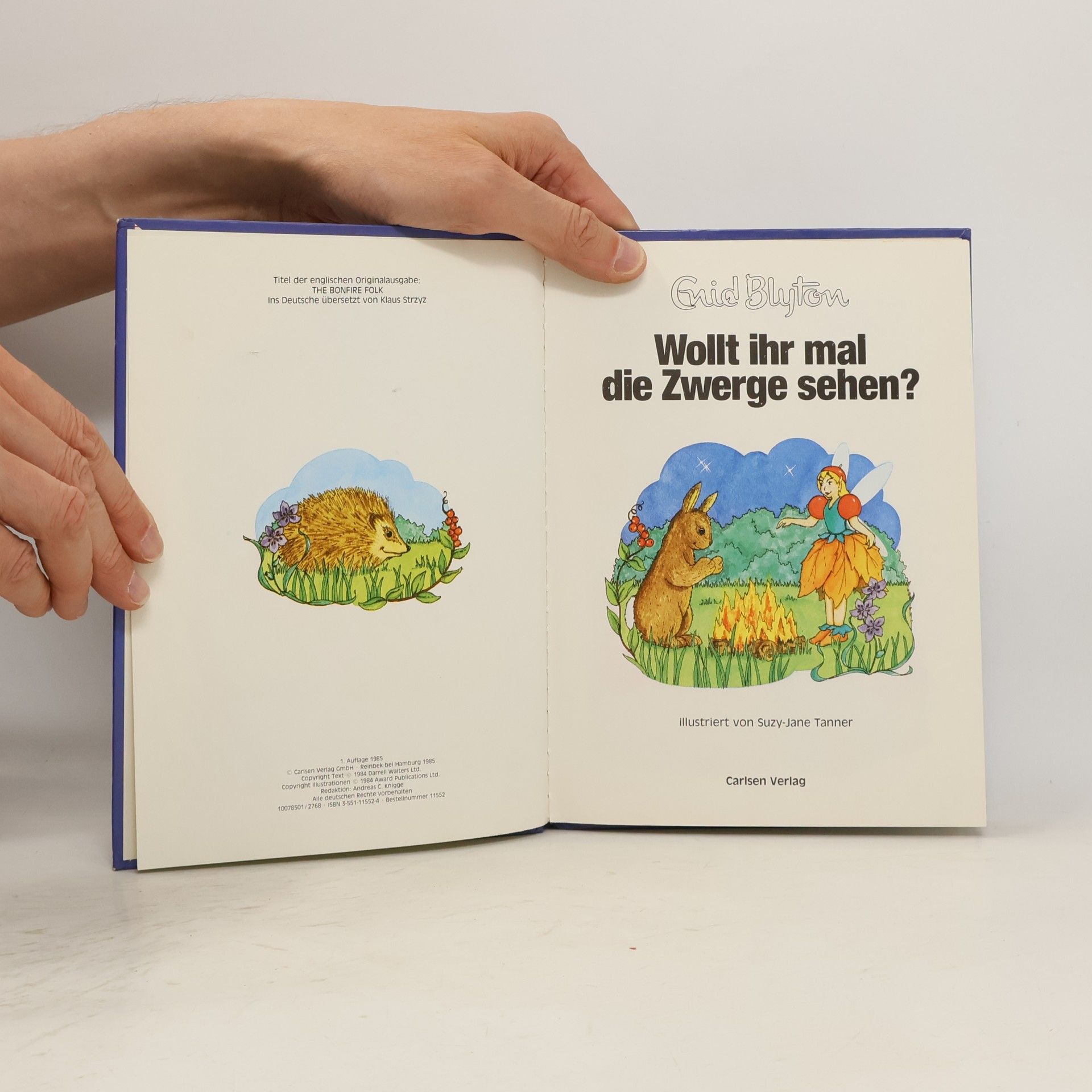 Enid Blyton Wollt ihr mal die Zwerge sehen?