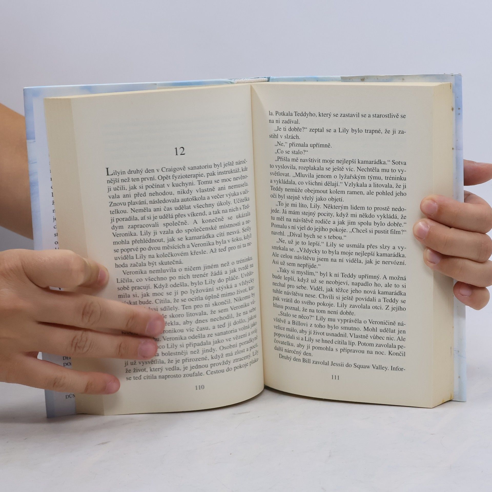 Danielle Steel Vítězové
