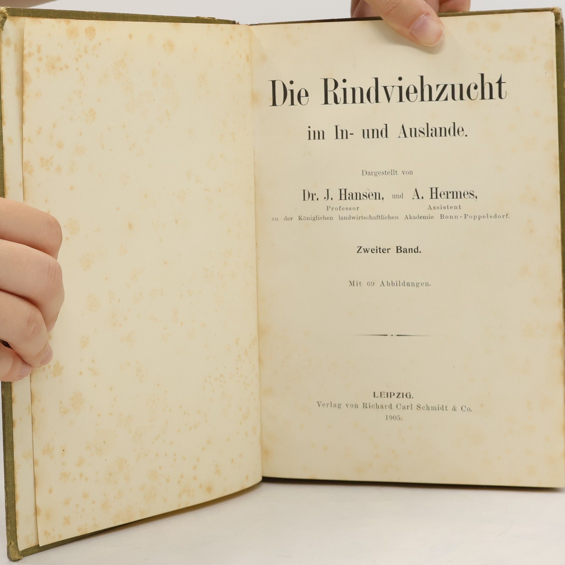 kolektiv Die Rindviehzucht II.