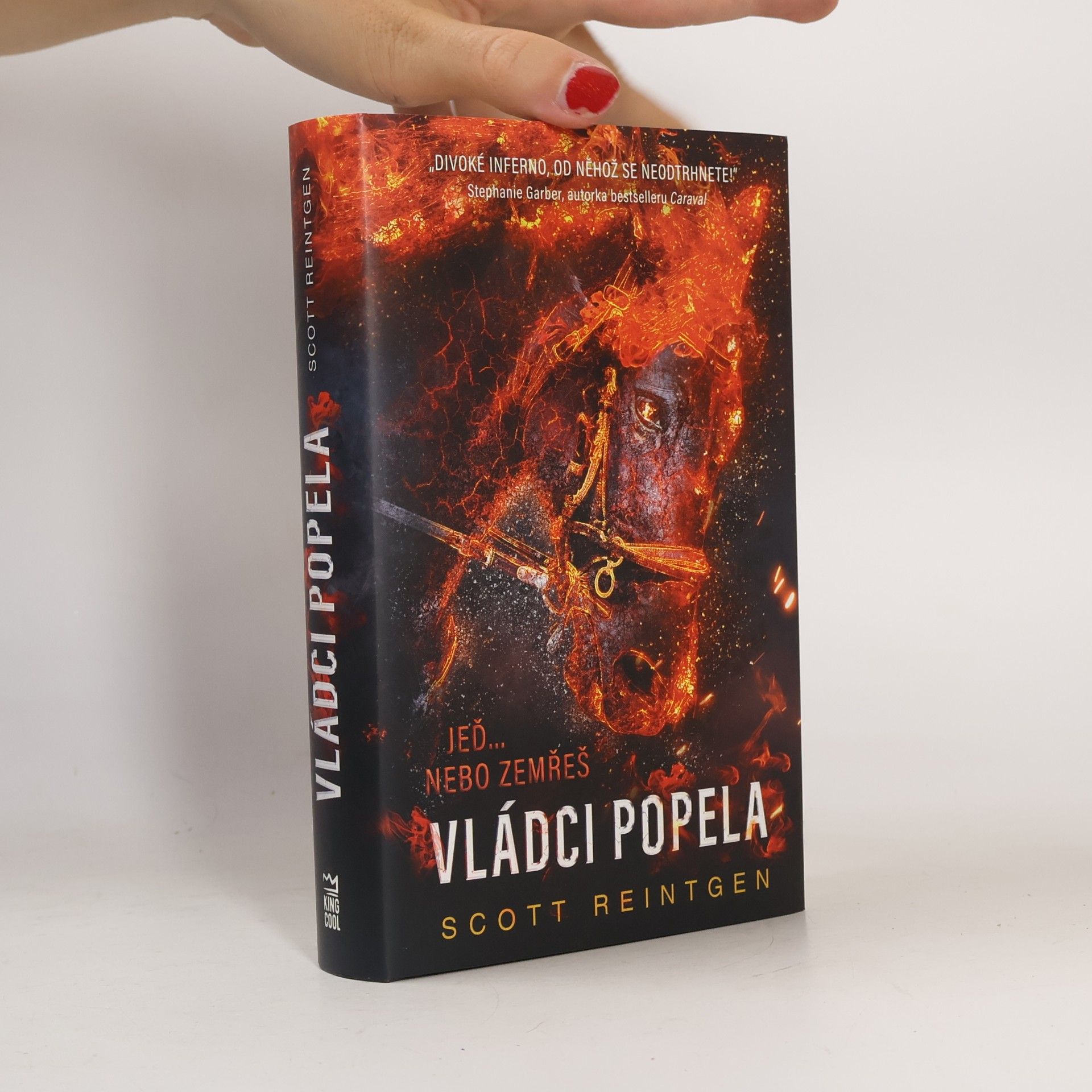 Scott Reintgen Vládci popela