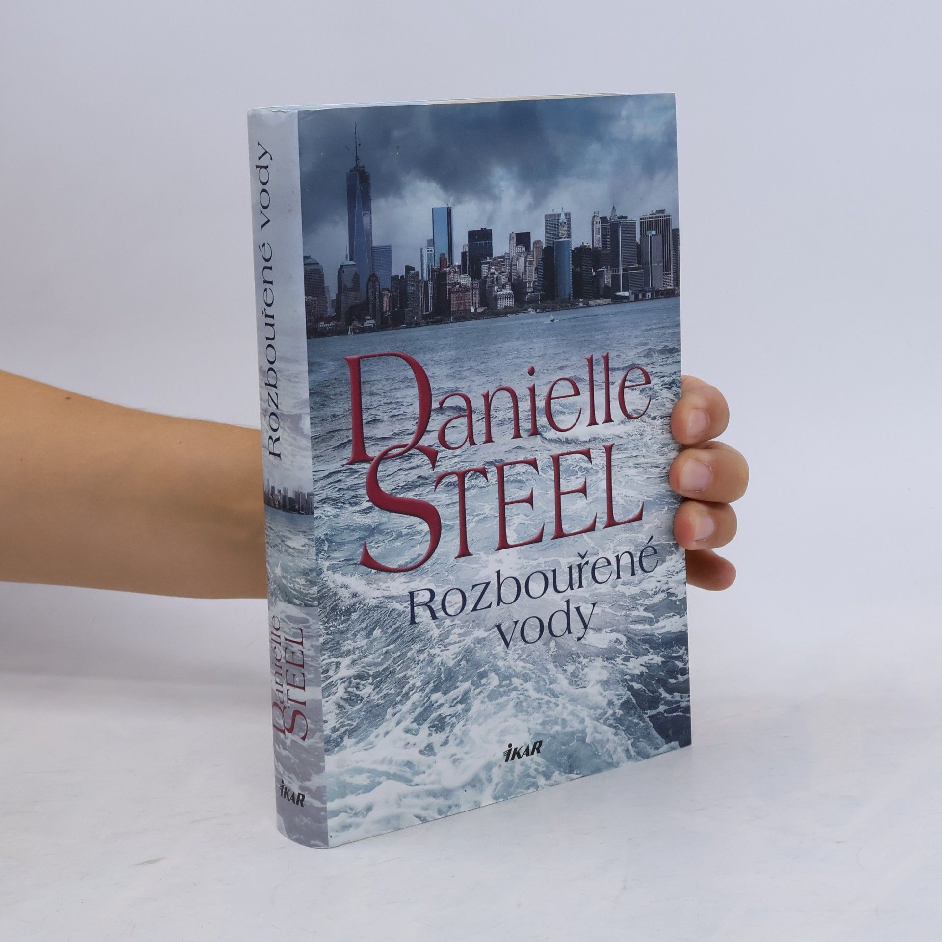 Danielle Steel Rozbouřené vody