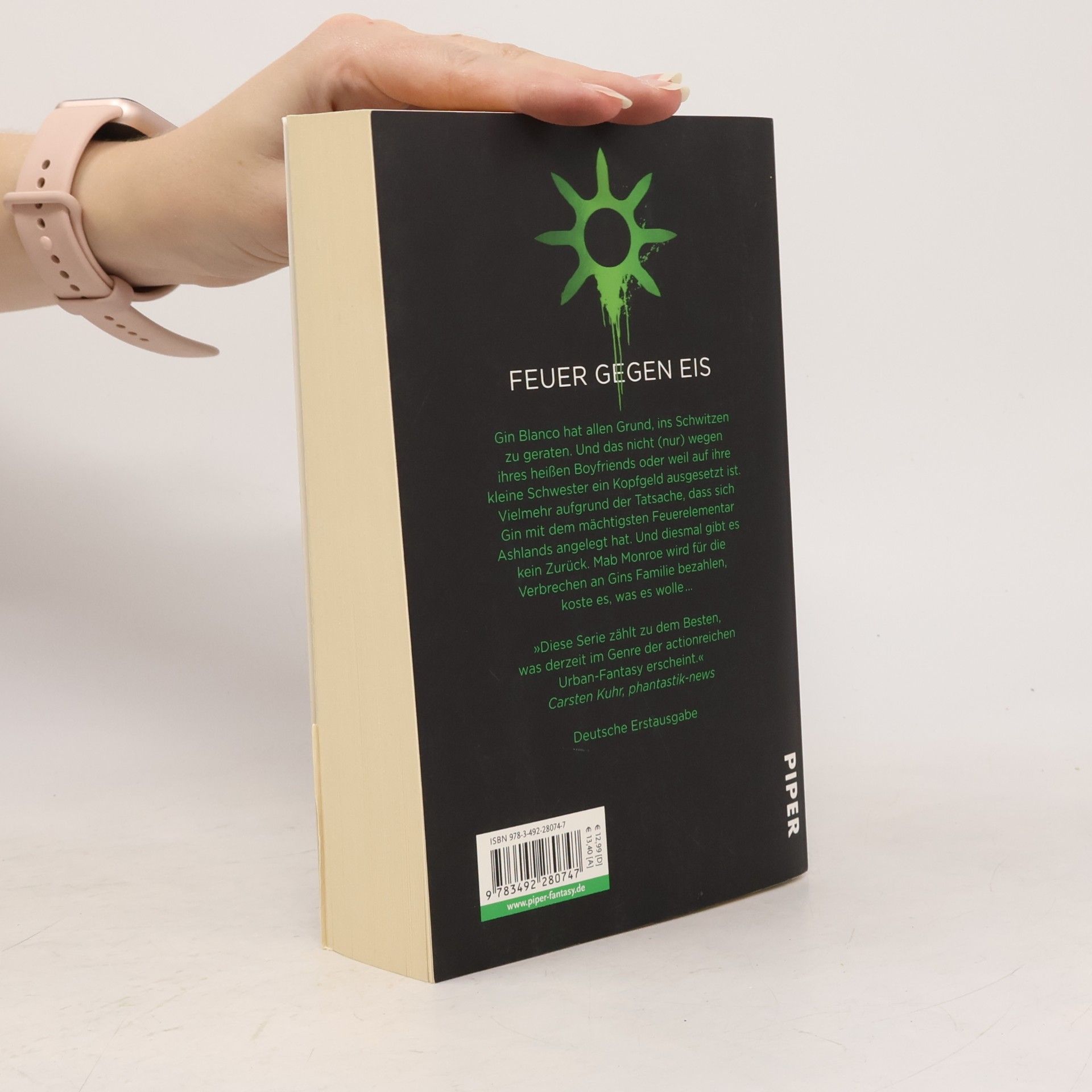 Jennifer Estep Spinnenbeute