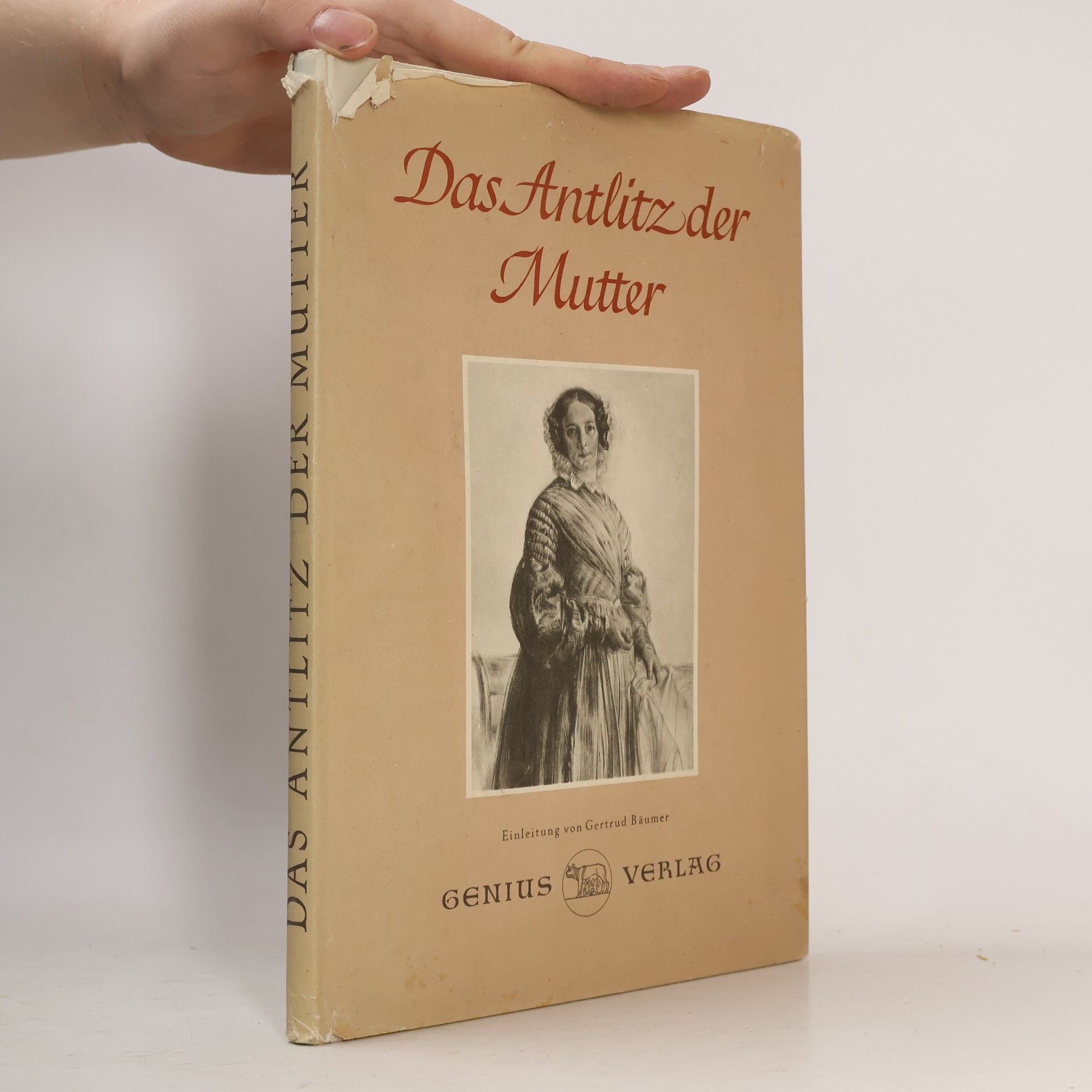Gertrud Bäumer Das Antlitz der Mutter