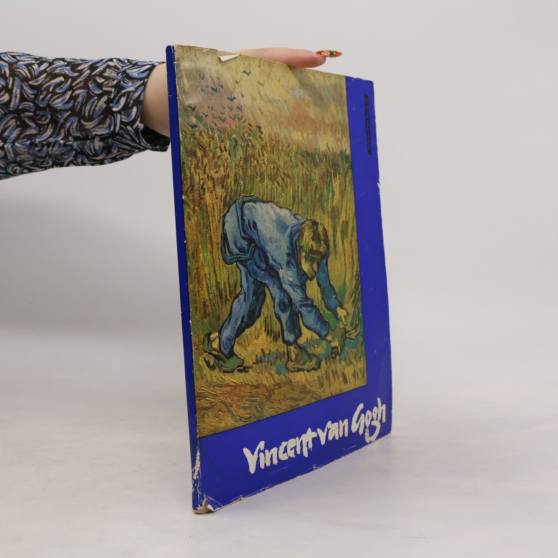 Kuno Mittelstädt Vincent van Gogh : 14 farbige Gemäldereproduktionen, 2 einfarbige Tafeln